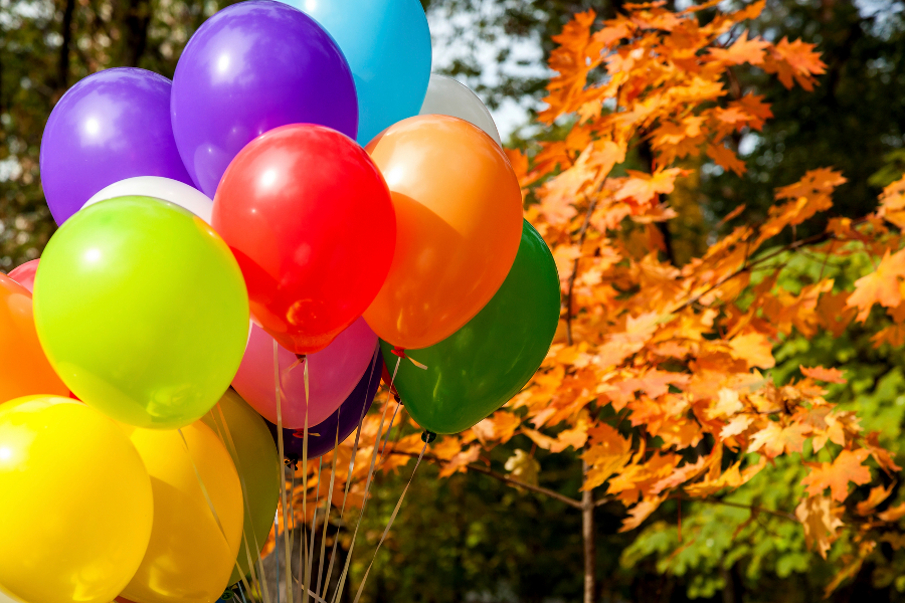 Article Cards Featured Image photo of multi colored balloons outside during fall