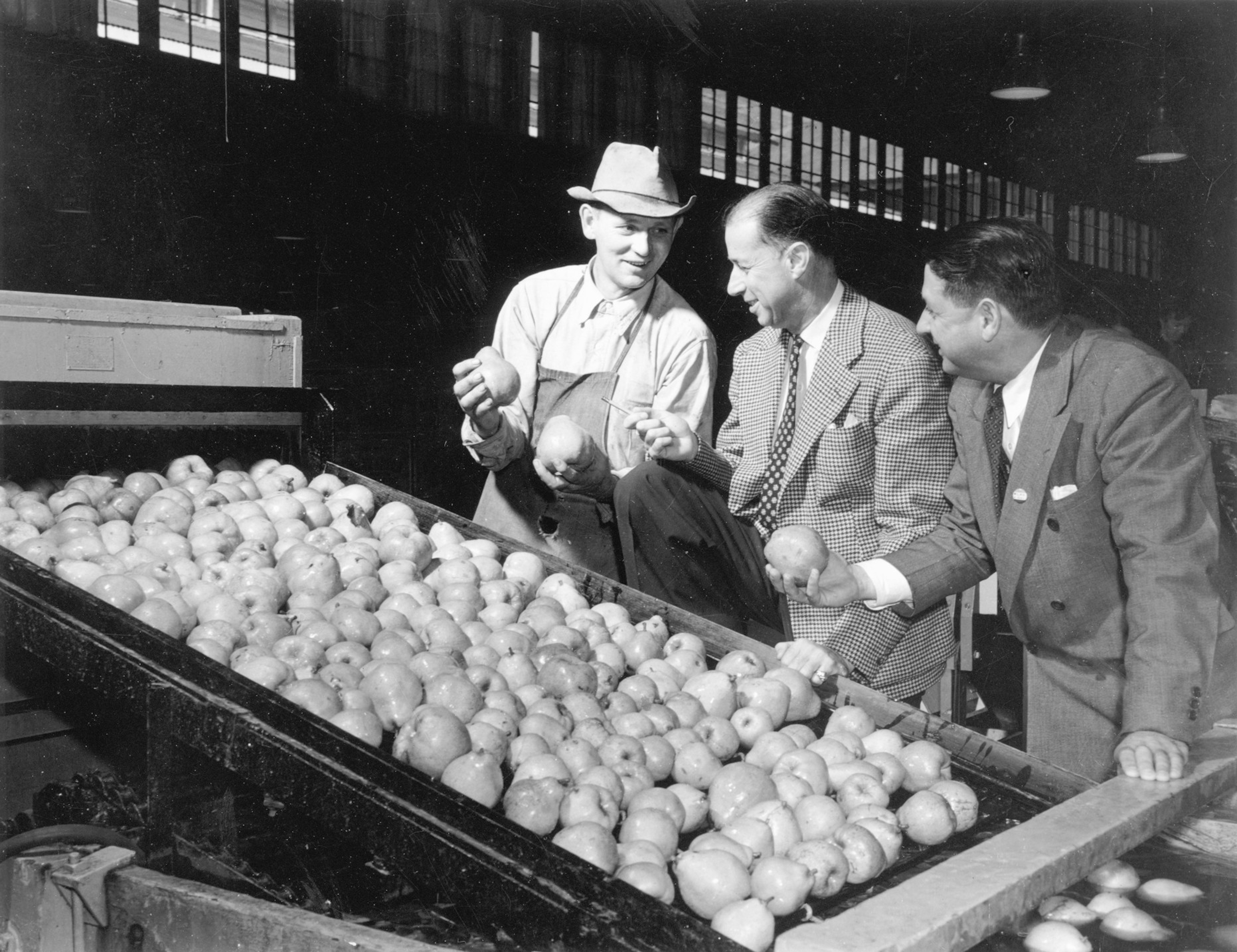 Article Cards Featured Image th anniversary harry david inspecting pears