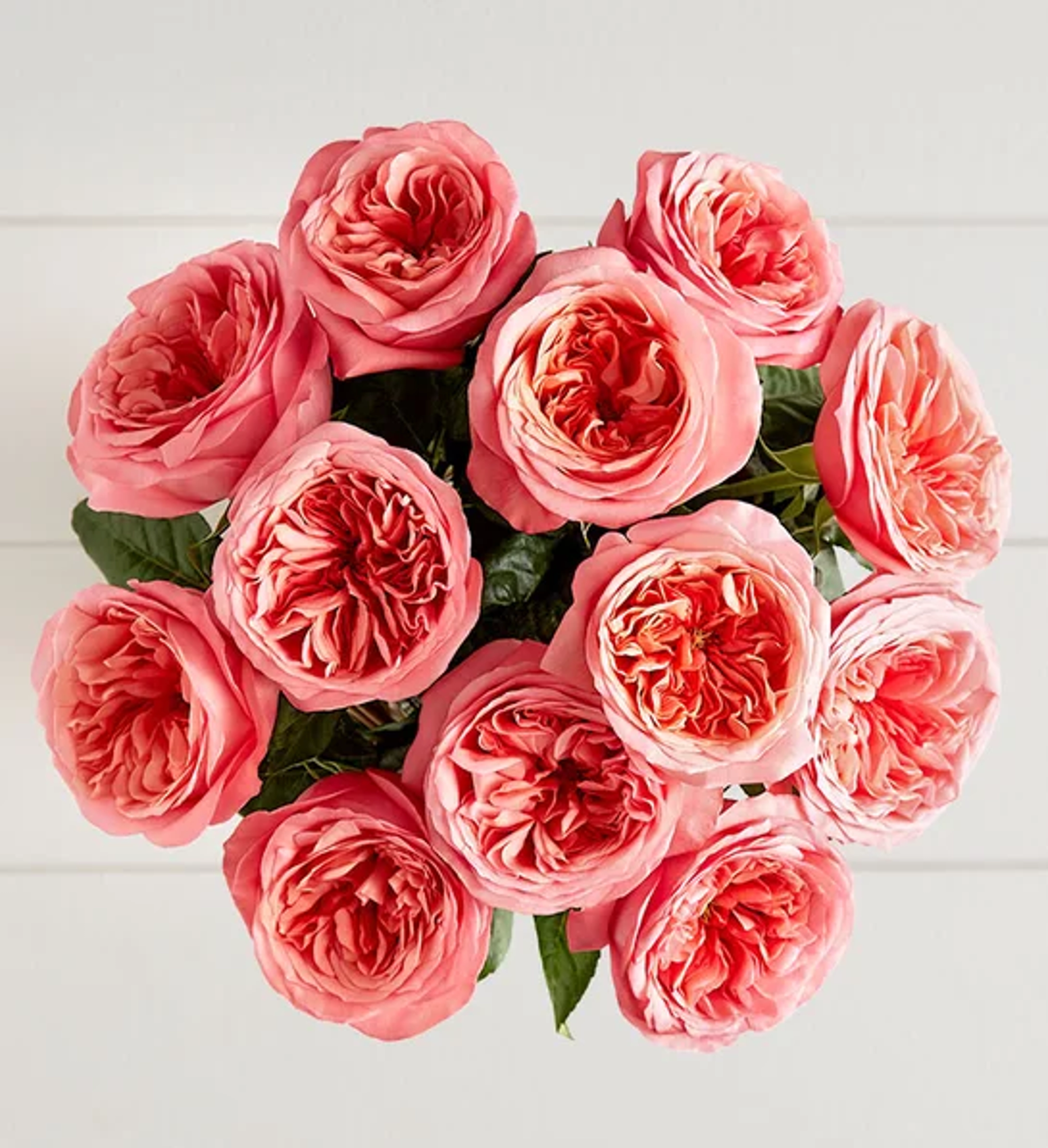 garden roses aerial view