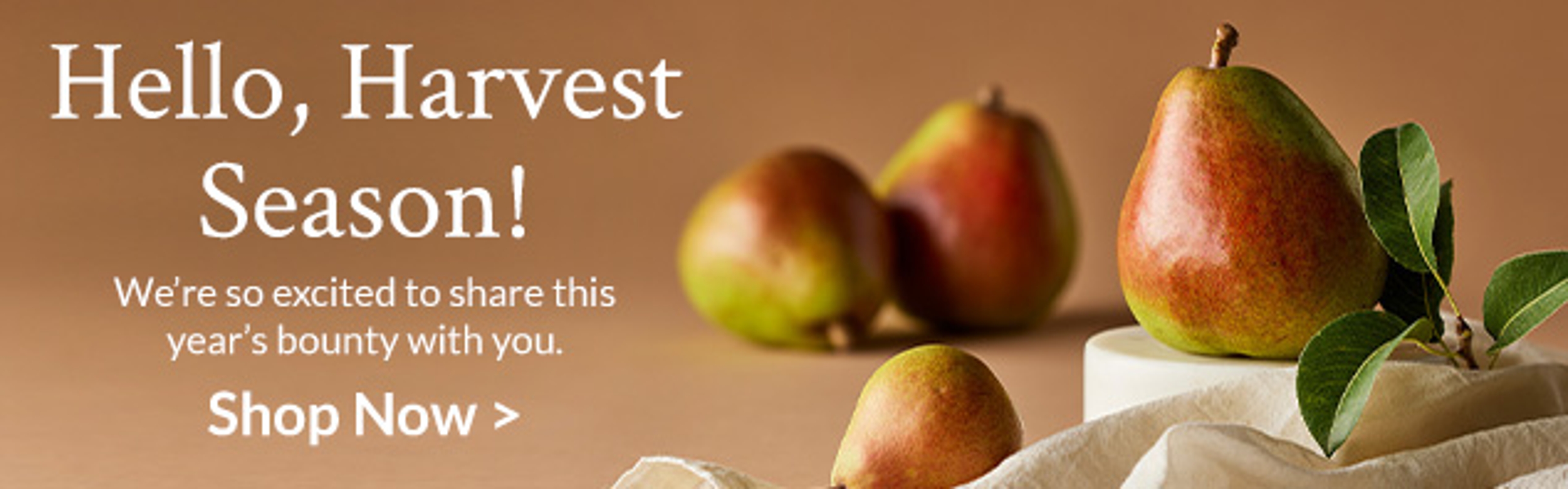 Harvest Shop Button Collection Banner Ad