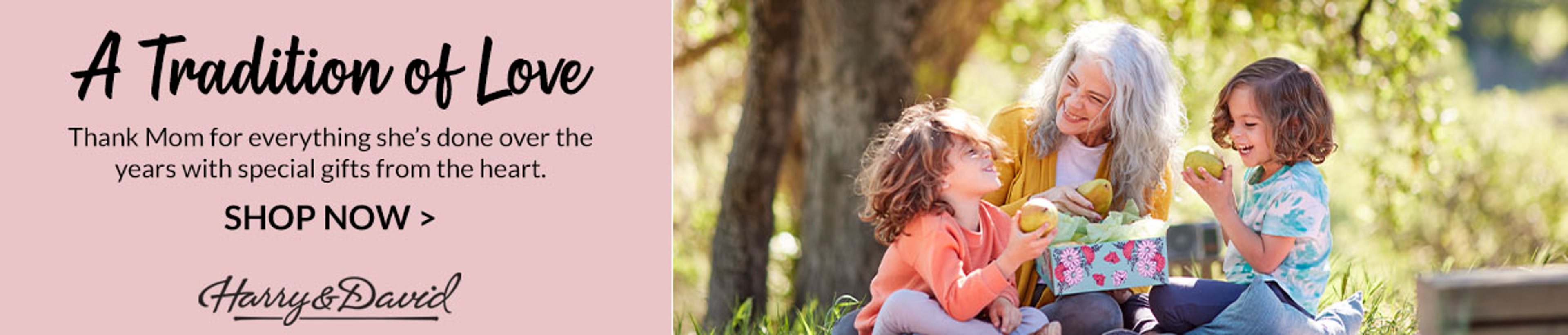 A Tradition of Love Mother's Day Collection Banner ad