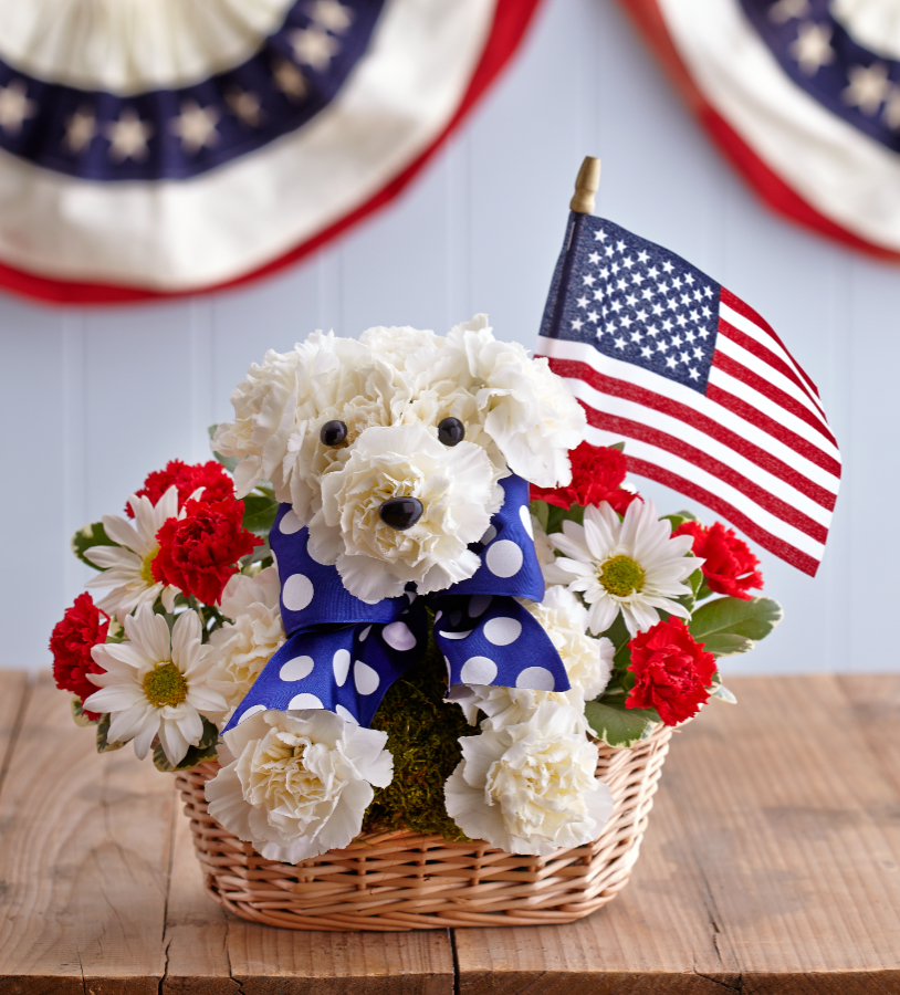 Yankee Doodle Doggie™
4th of July
91874