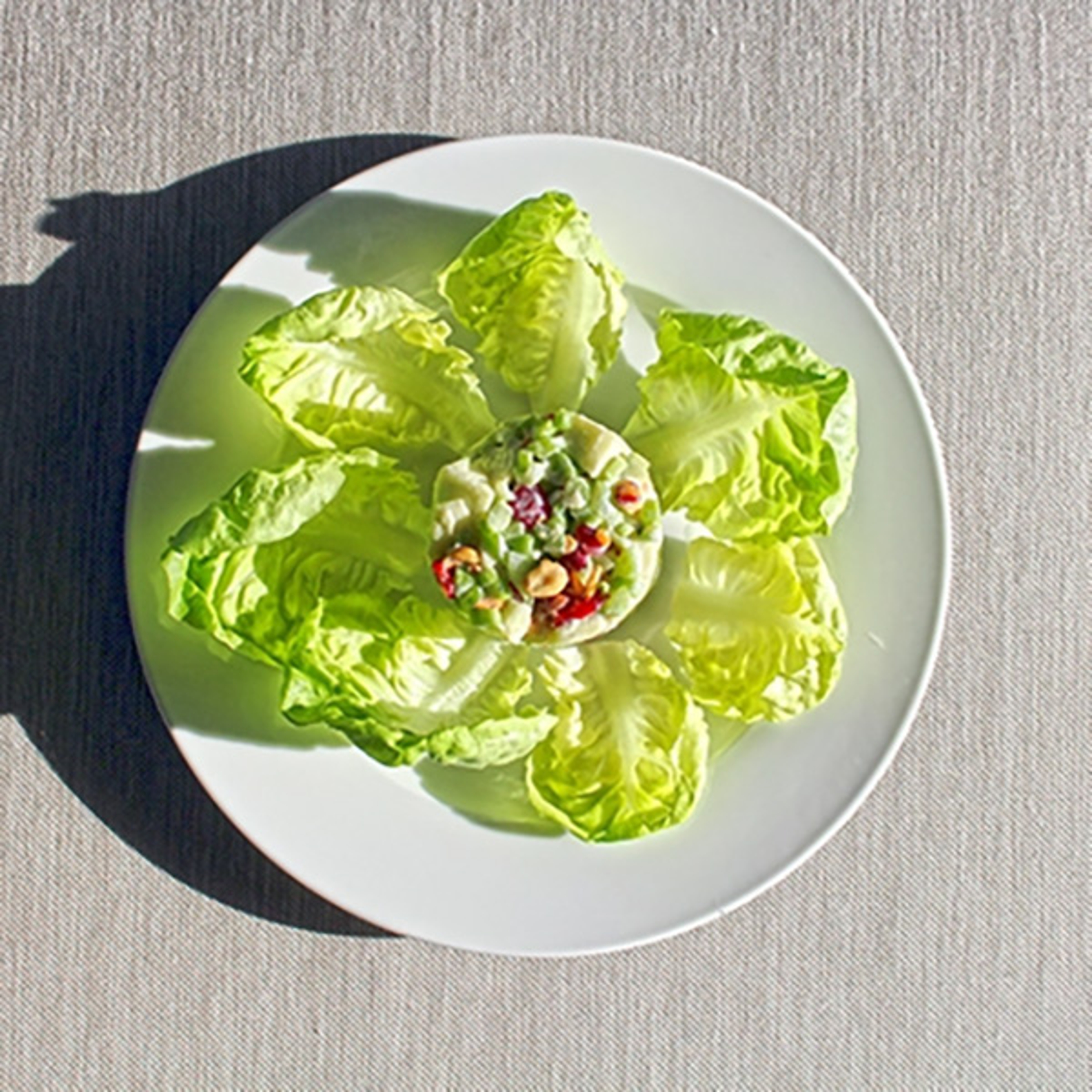 apple recipes waldorf salad
