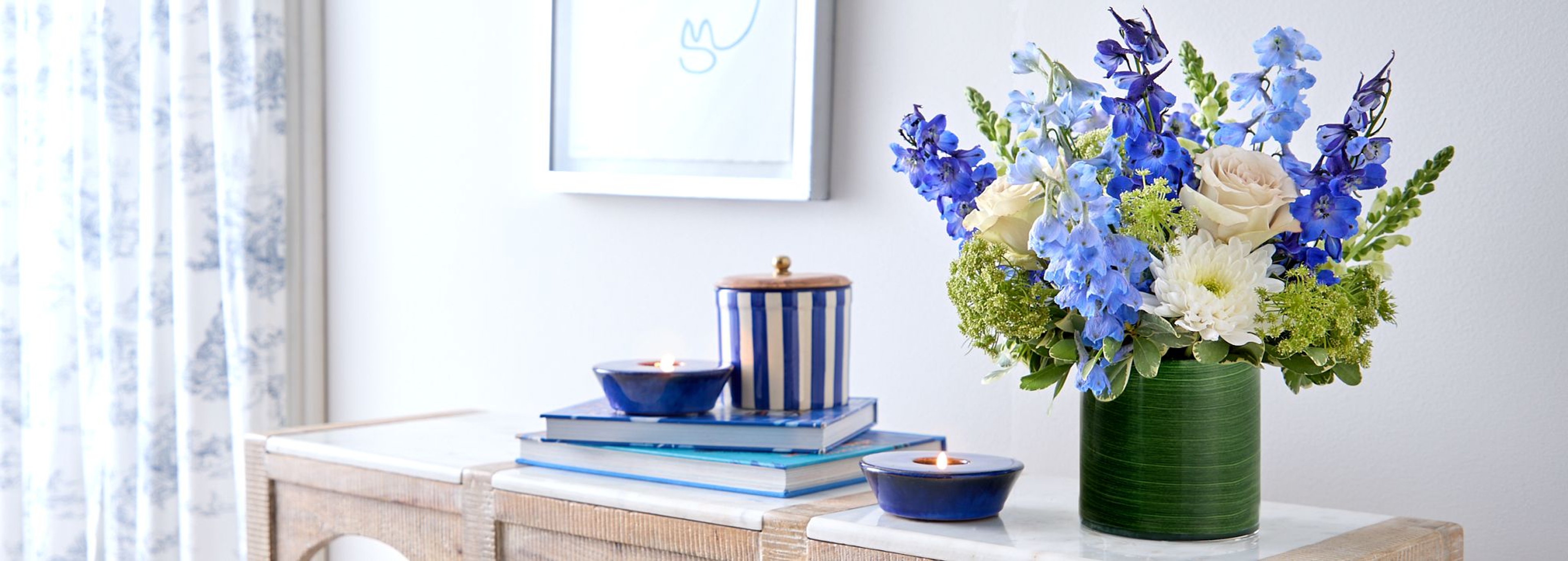 Flower of the Year Delphinium: Cerulean Dreams Delphinium Flowers in a pot on a Table