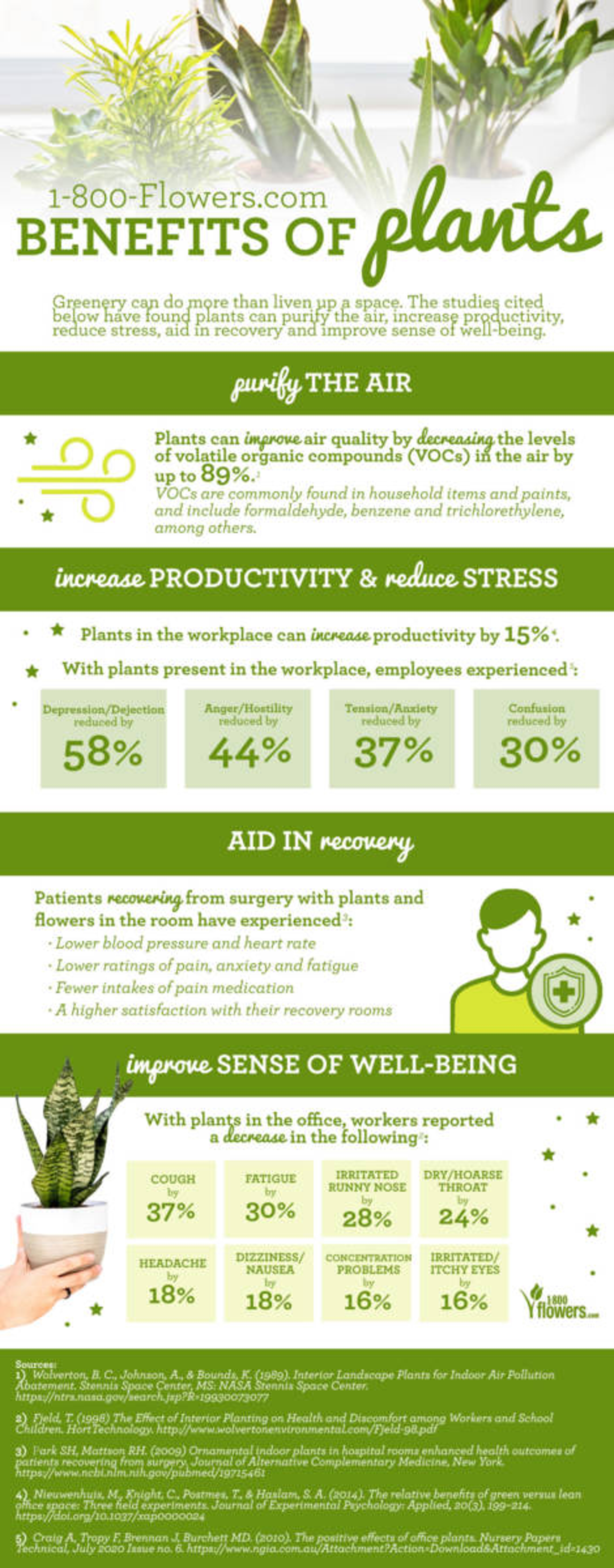 the benefits of plants infographic