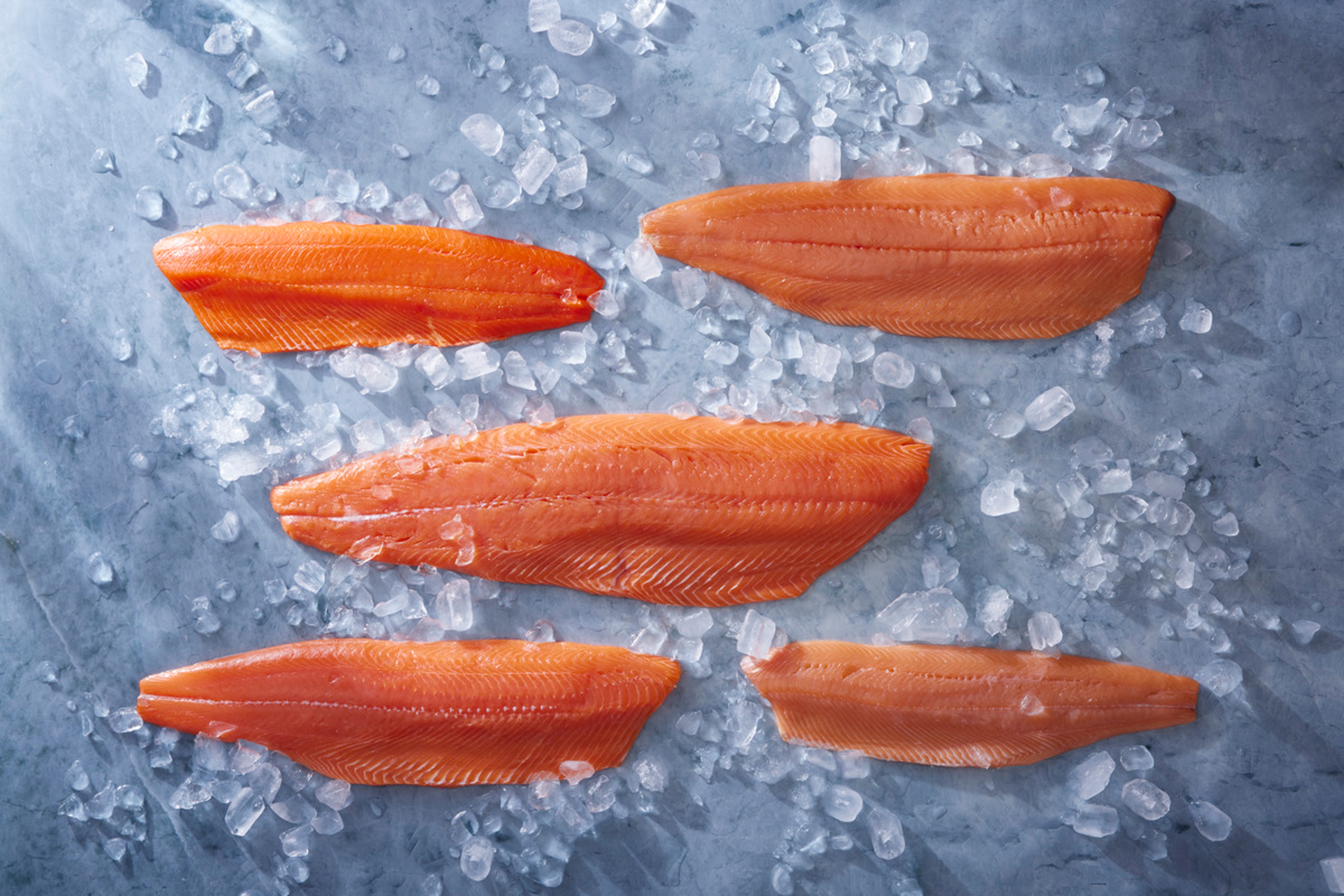 types of salmon salmon sides on ice credit asmi