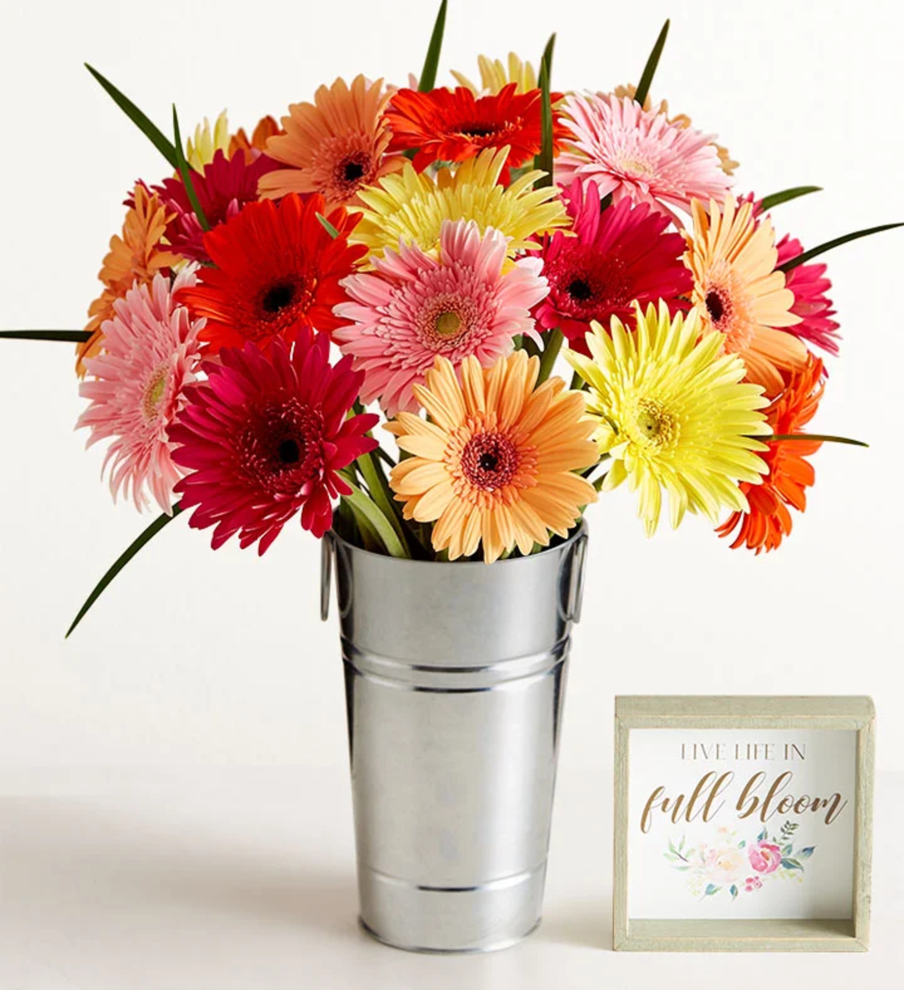 grandparents day flowers gerbera daisies