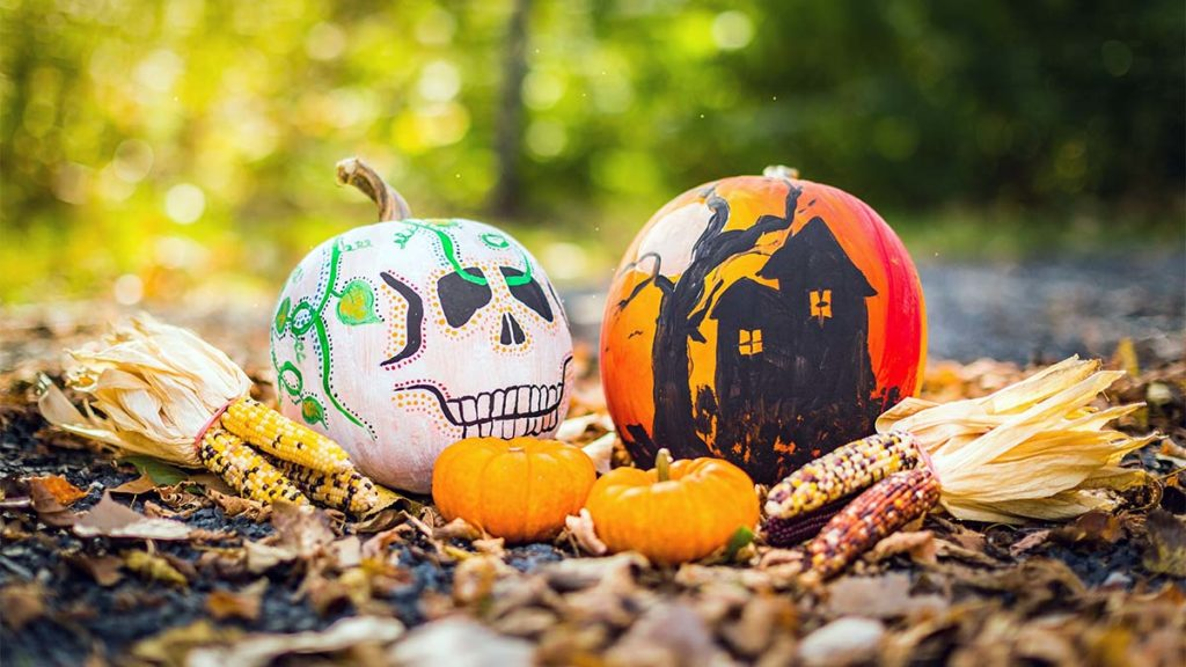 Painted pumpkins surrounded by dried corn.