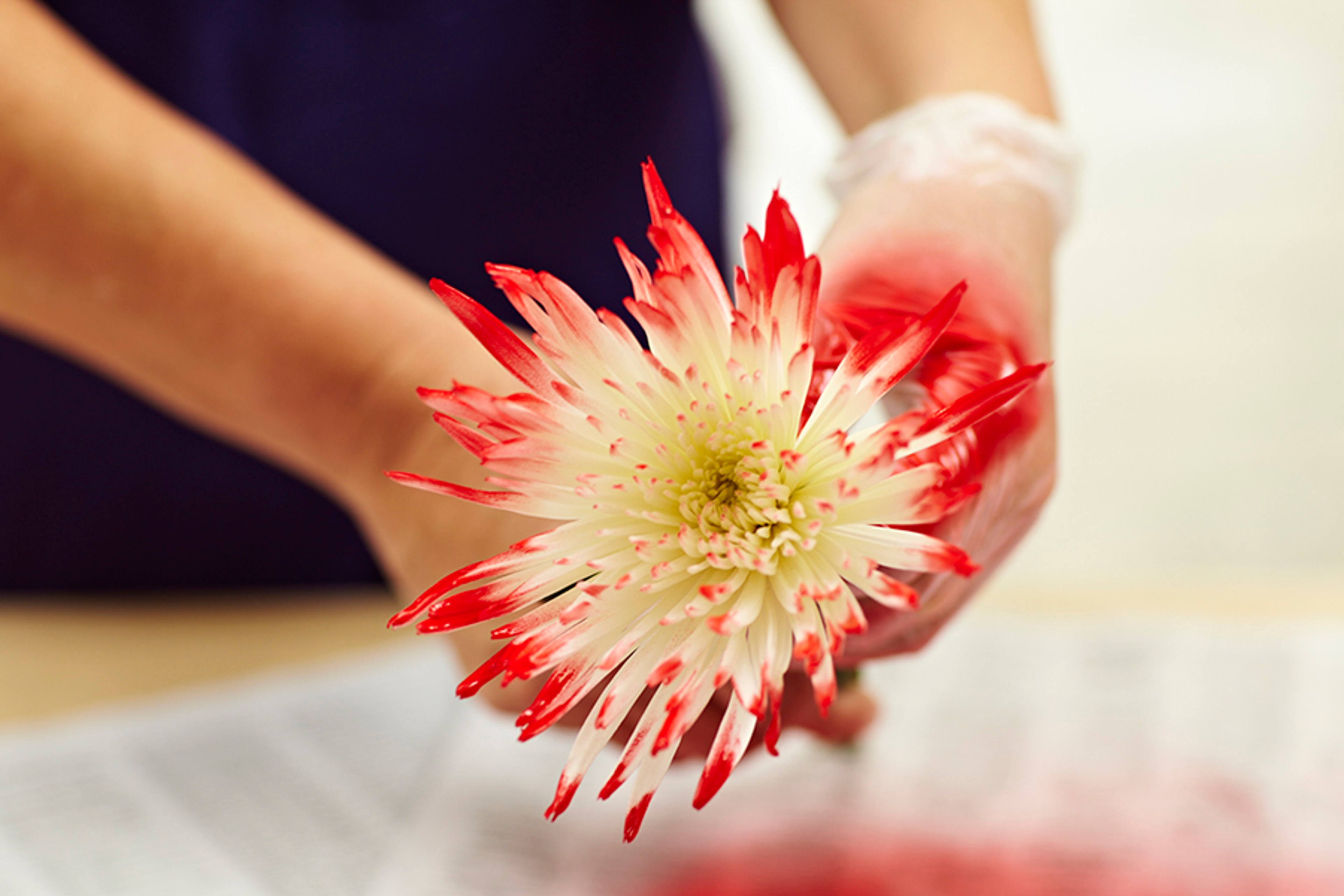 flower surface paint step