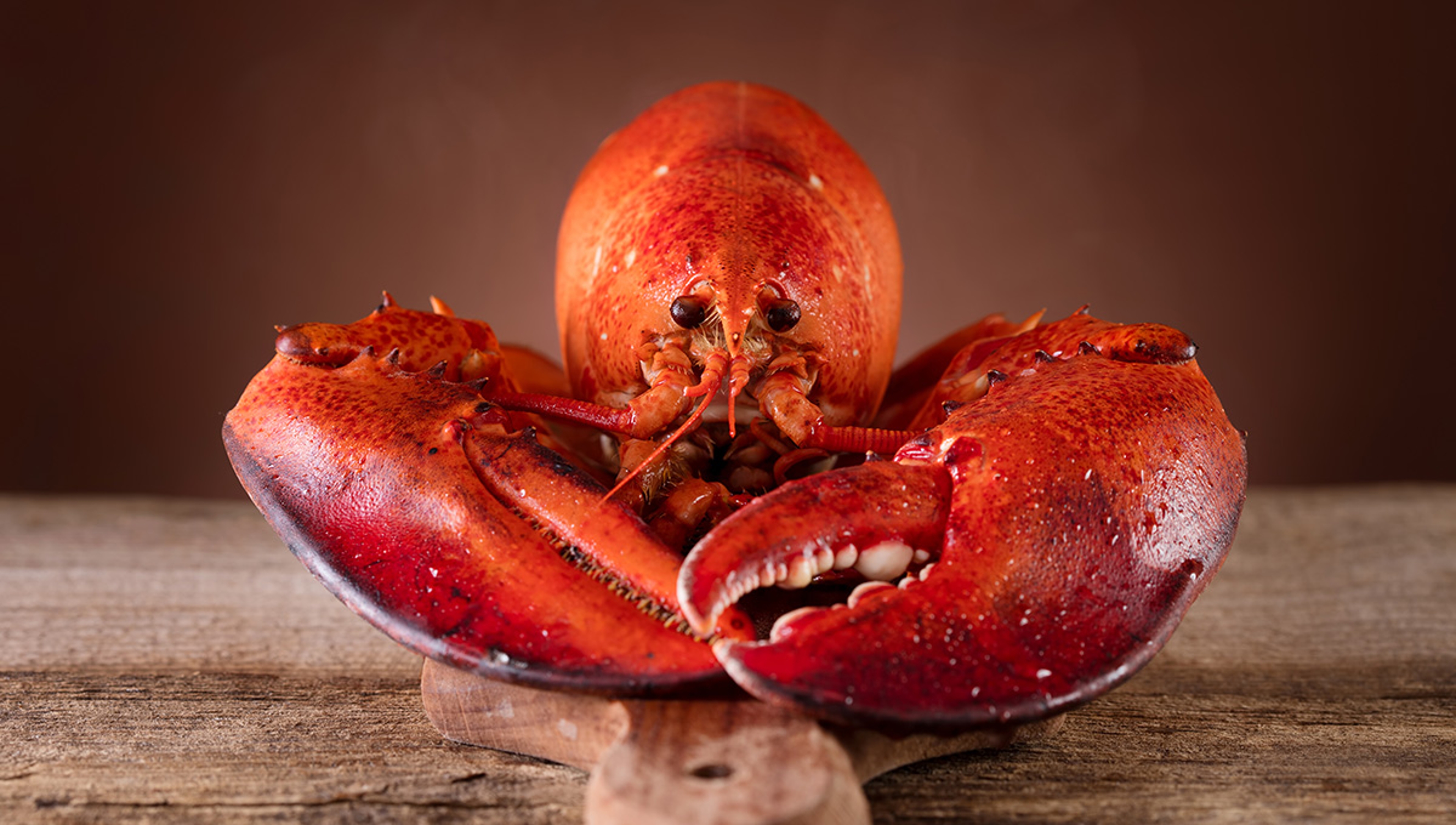 Red lobster on cutting board on wooden background