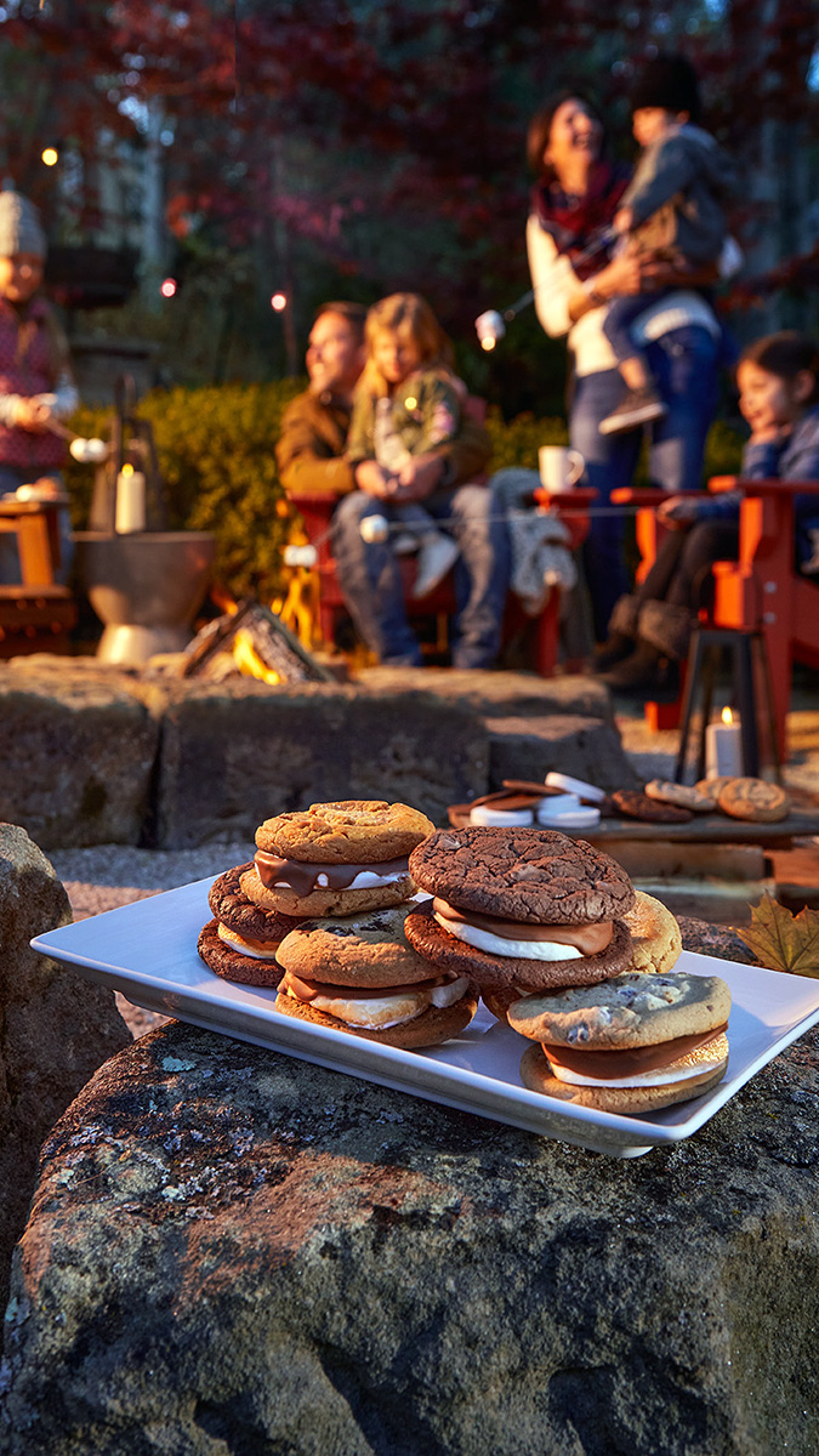 s'mores with cookies