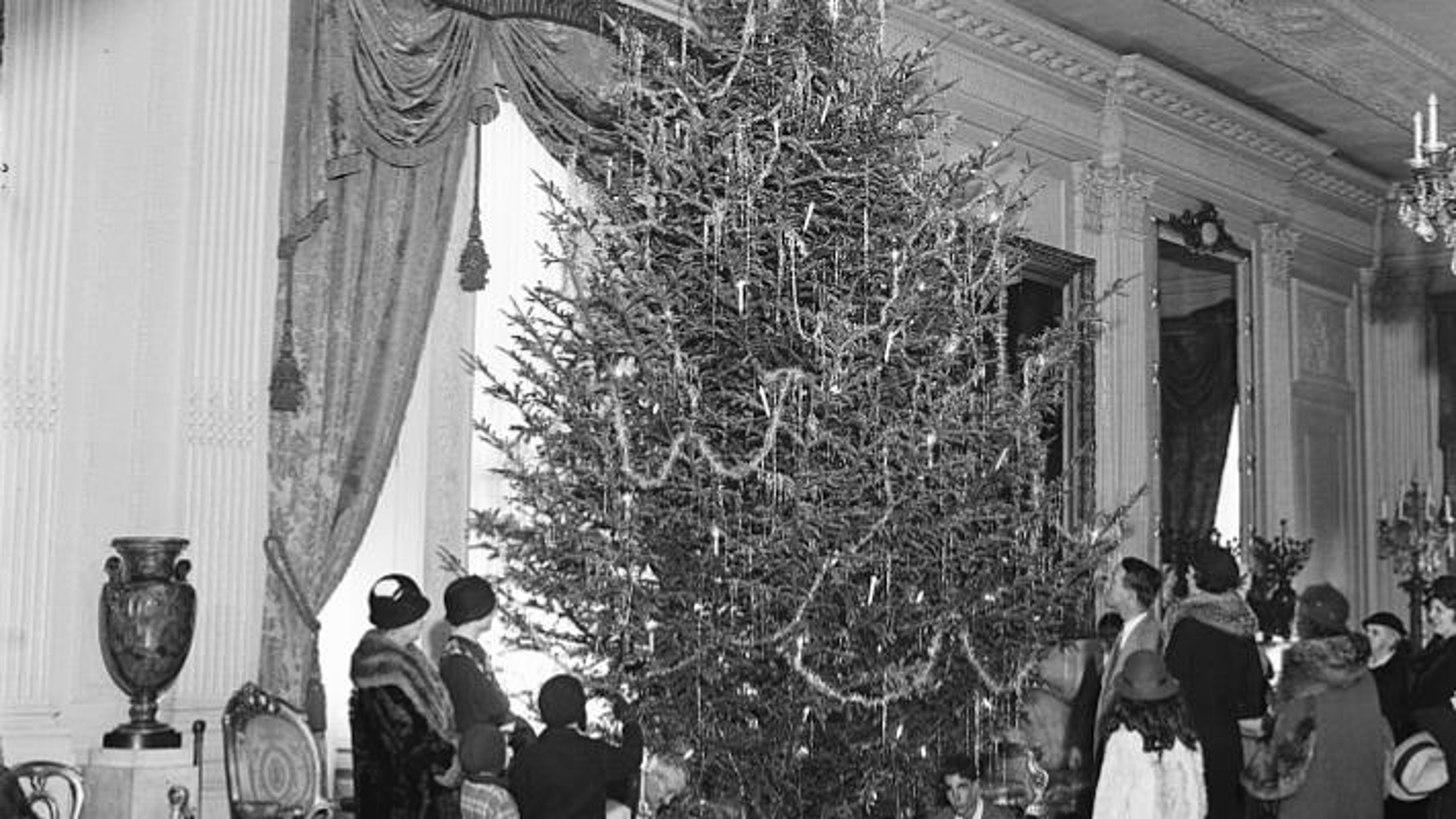 Article Cards Featured Image christmas in white house christmas tree.JPG