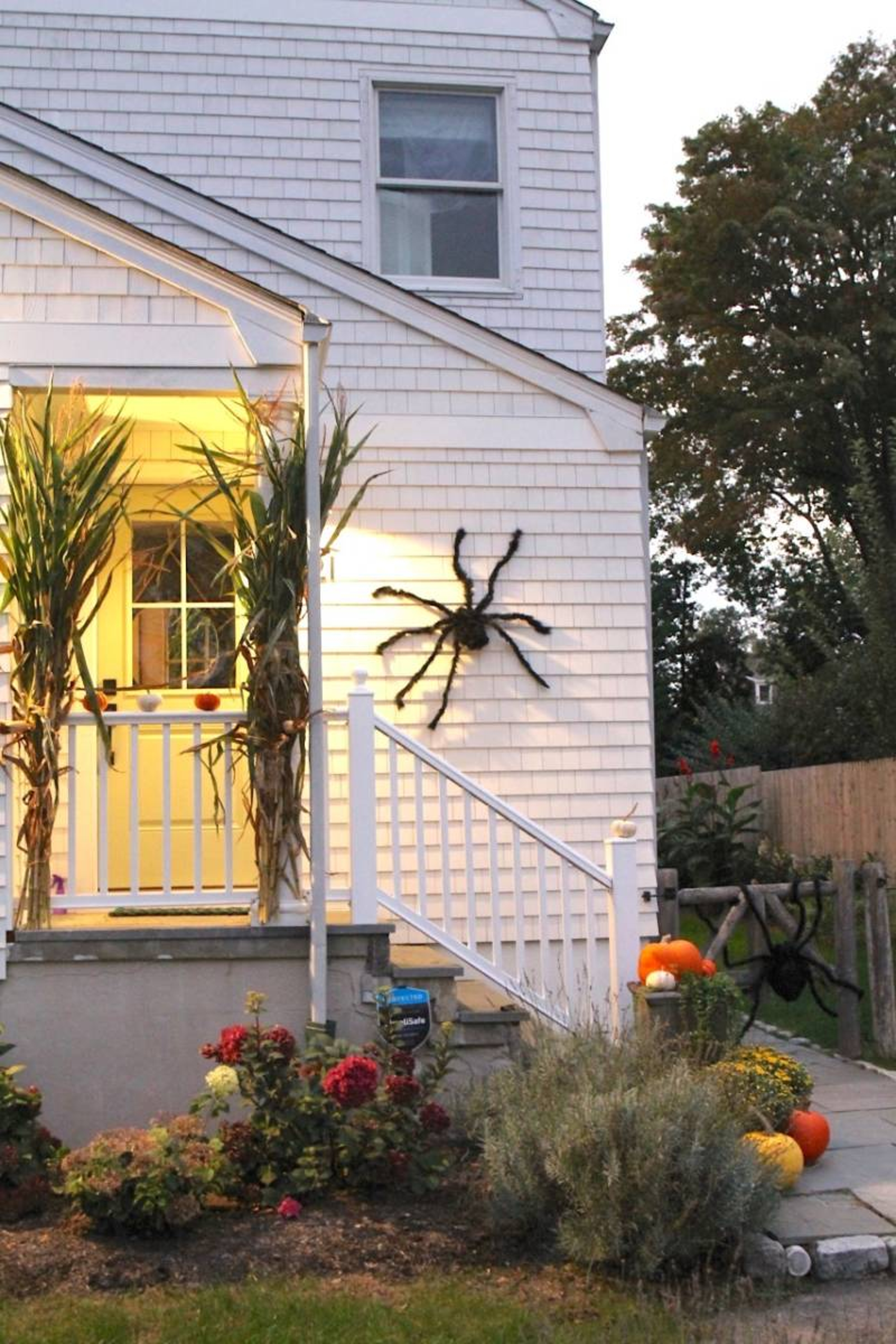 Giant Spiders on the side of a house