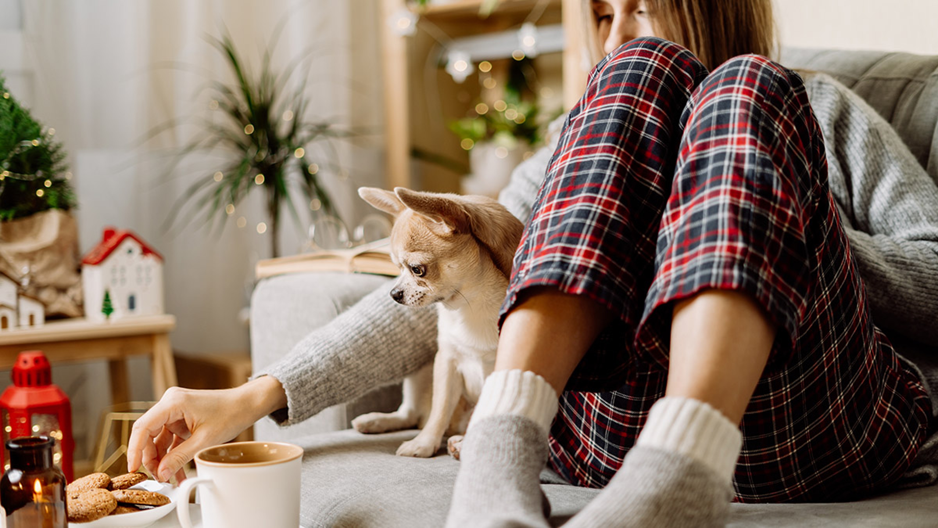 Cozy woman in knitted winter warm socks and sweater and checkered pajama eating cookies with dog, during resting on couch at home in Christmas holidays. Winter hot drink mug of cocoa or coffee