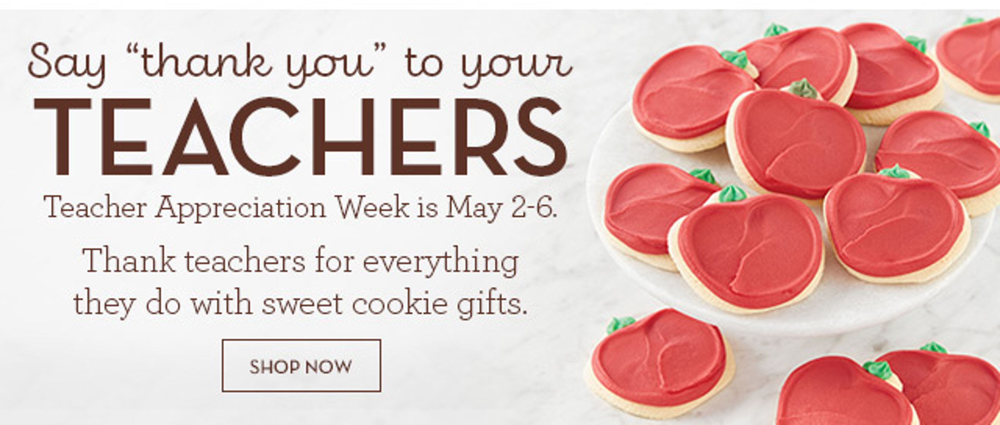 Say Thank You to your teacher Teacher Appreciation Banner Ad