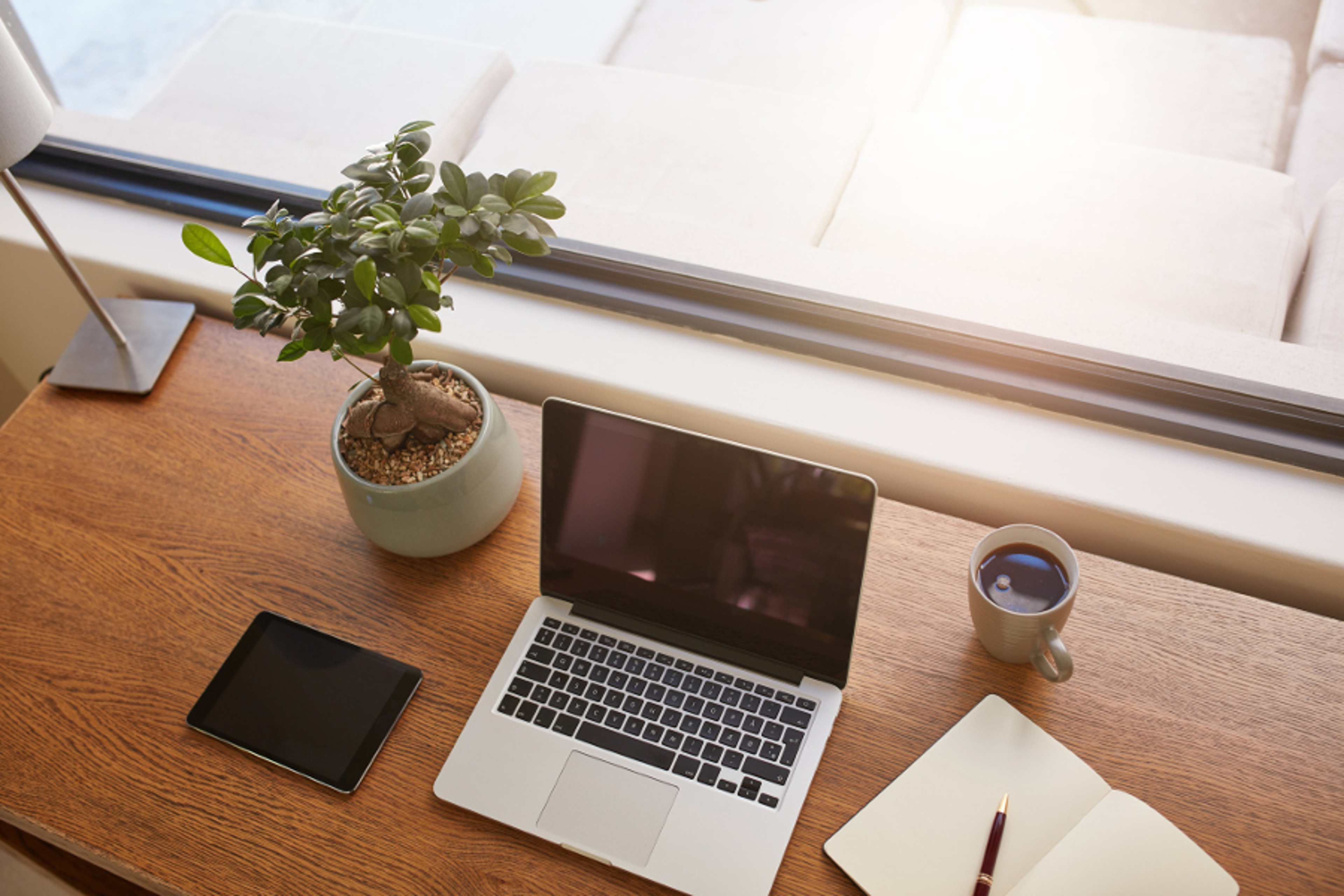 Article Cards Featured Image Desk with laptop and plants