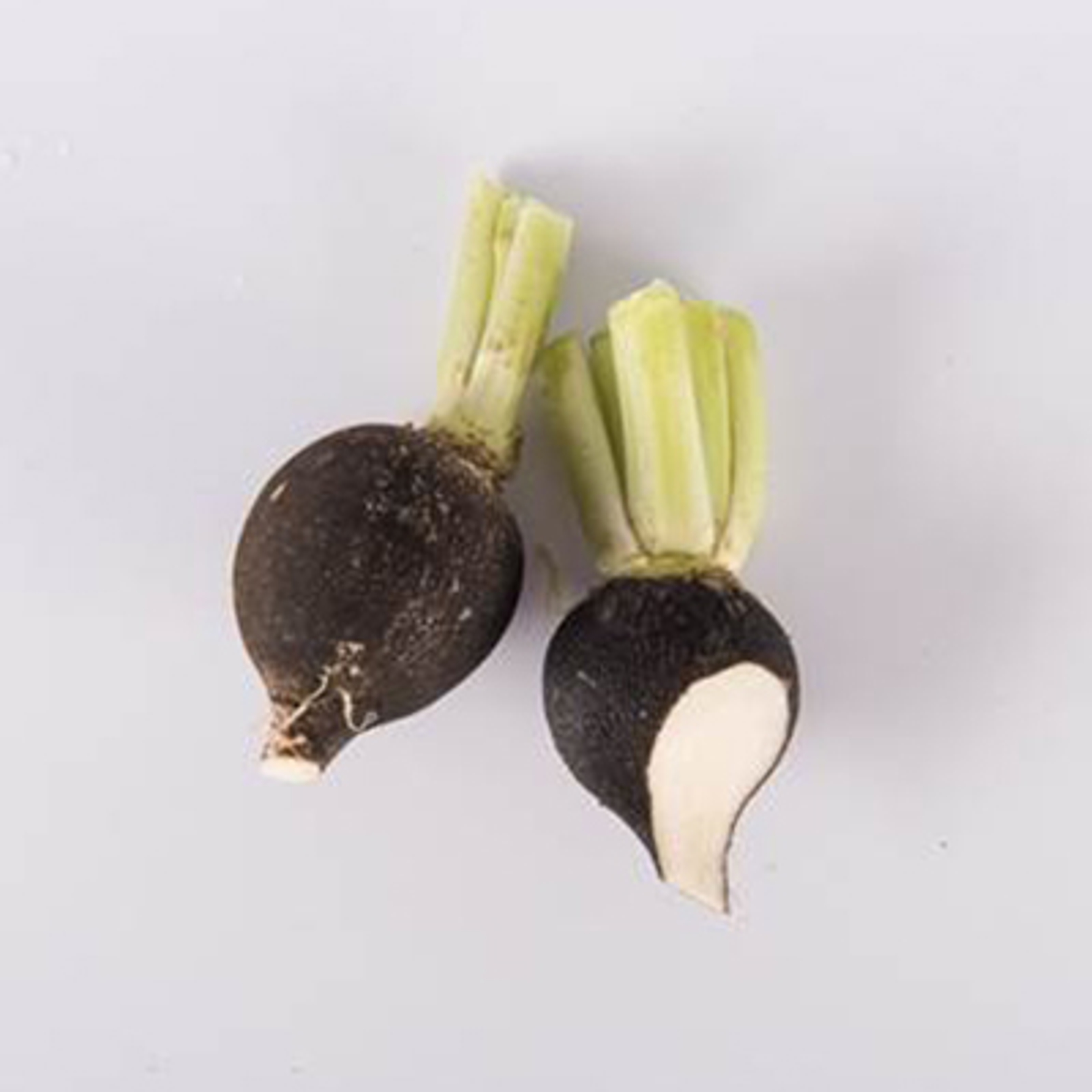 types of radishes black