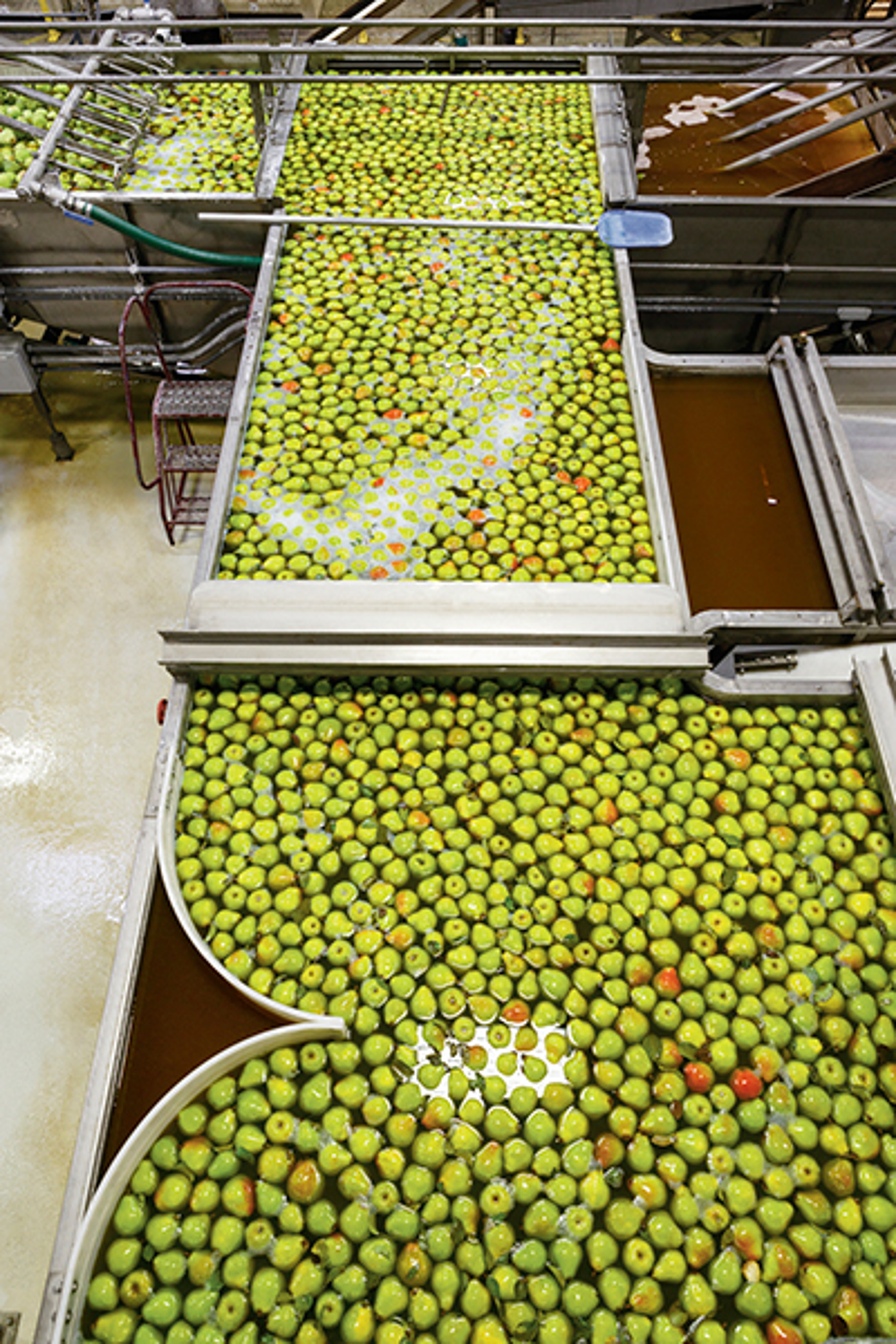 Using this method, fewer pears are damaged during transportation.