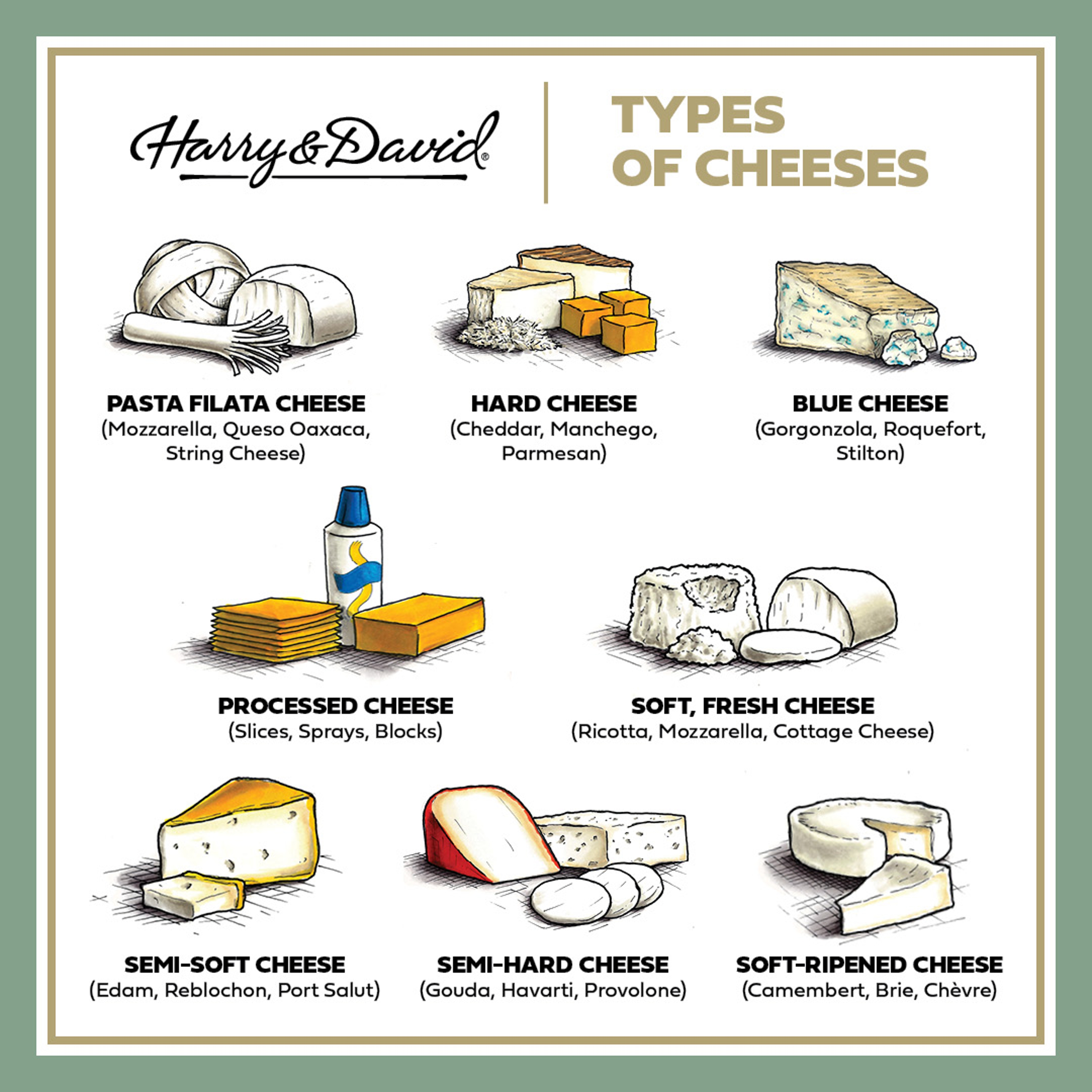 types of cheese Graphic