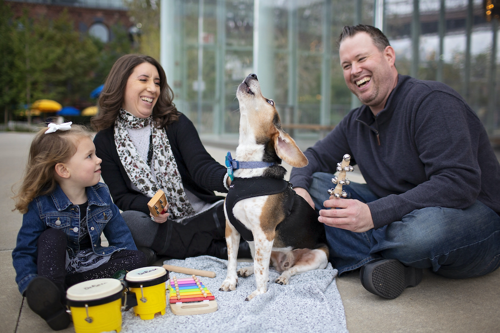 Buddy the Beagle: Foster Home to Fame | The Table by Harry &David
