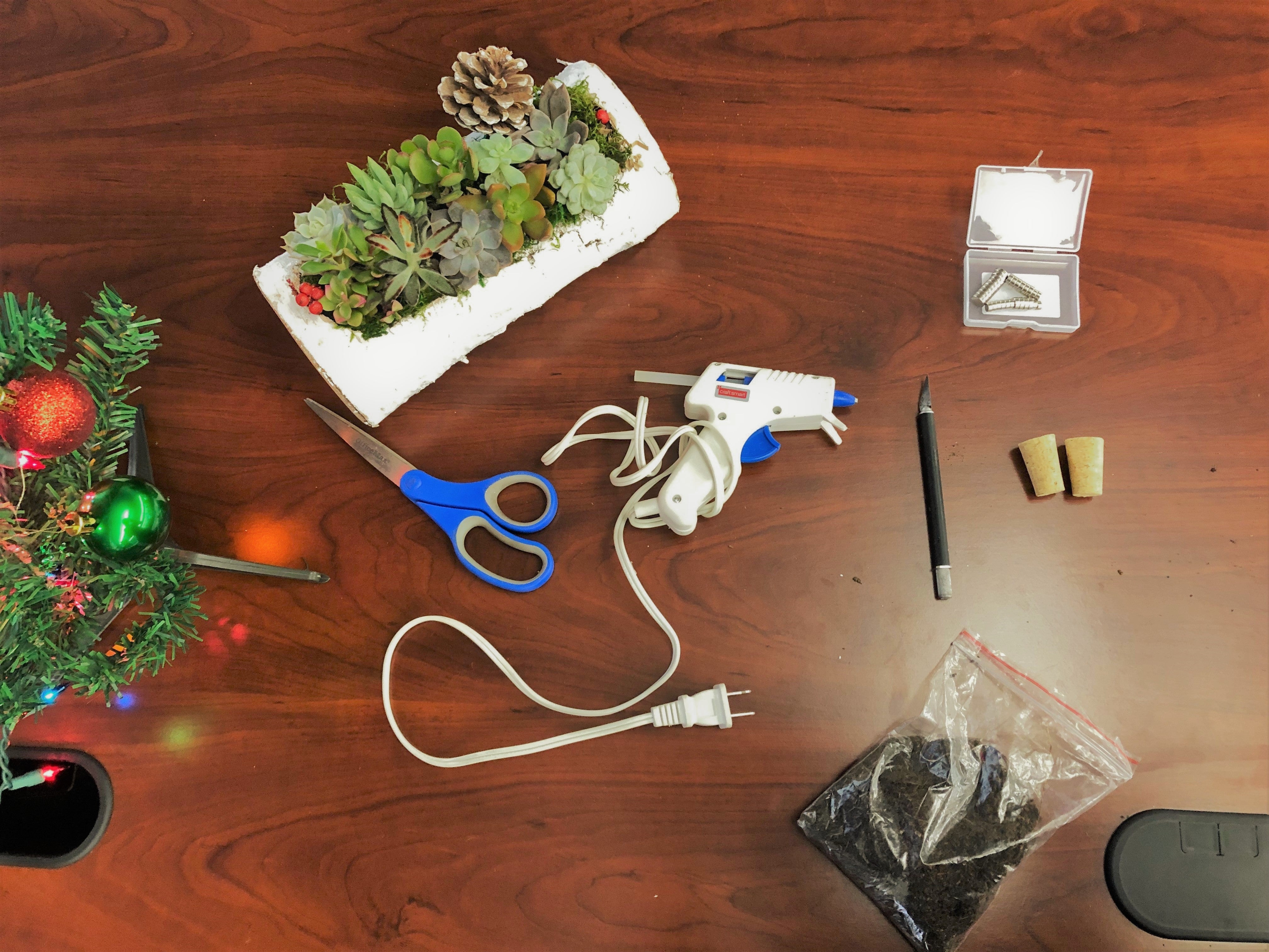 supplies needed for DIY magnetic succulents