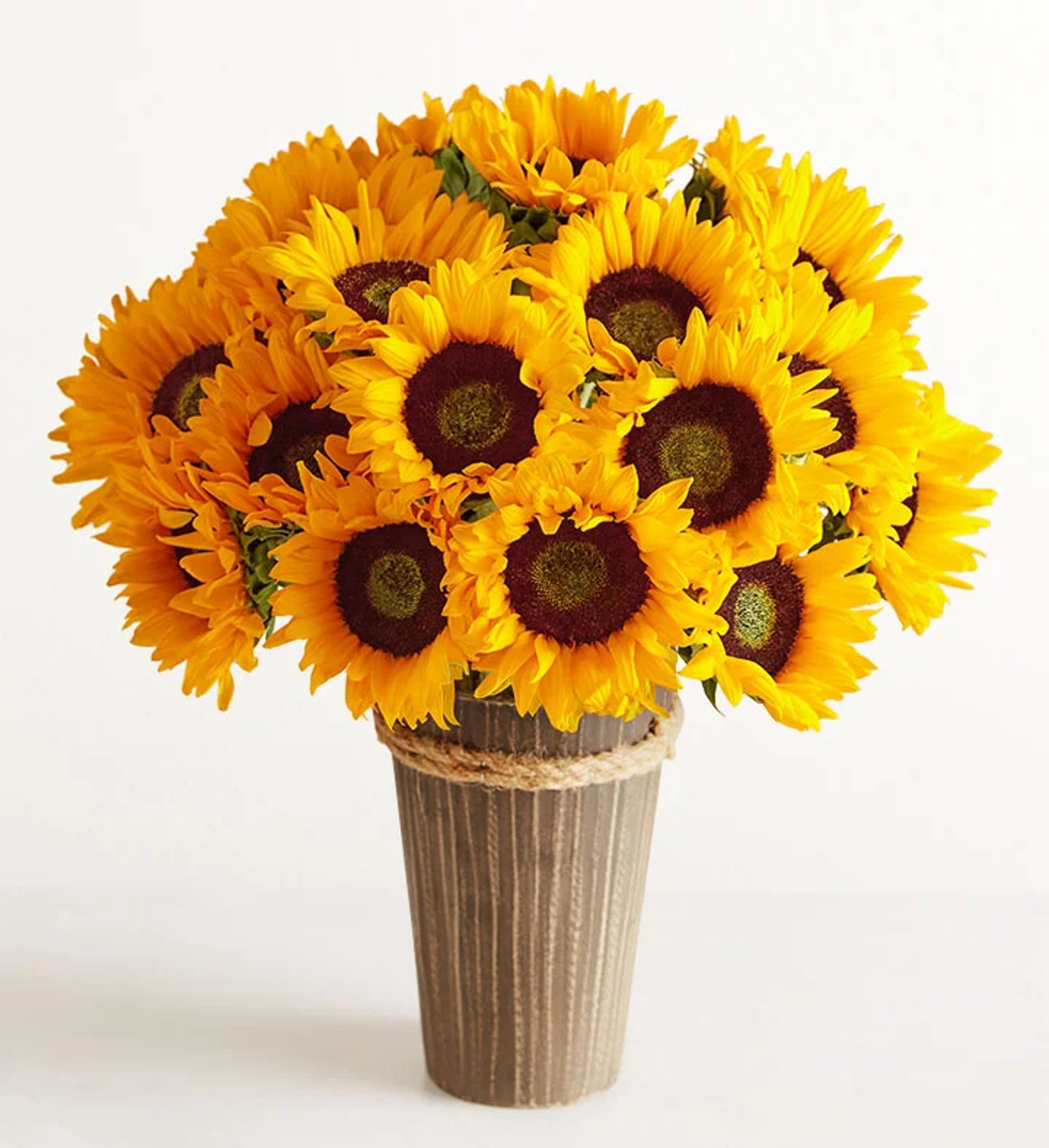grandparents day flowers sunflowers