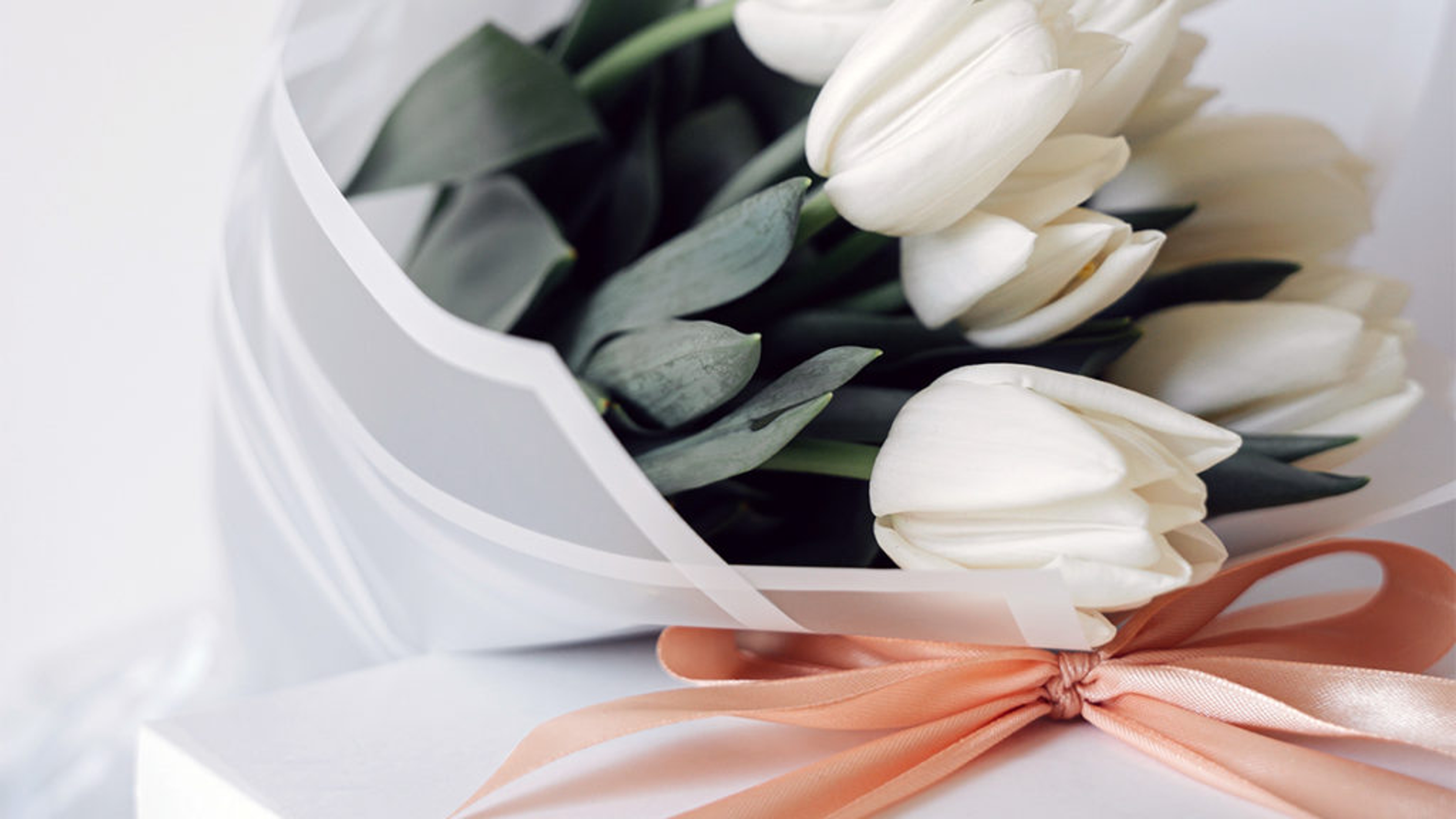 Bouquet of white tulips.