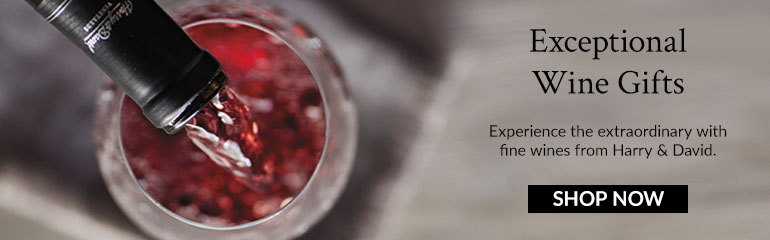 Exceptional Wine Gifts - Wine Collection Banner Ad