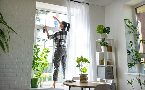 spring cleaning by windows
