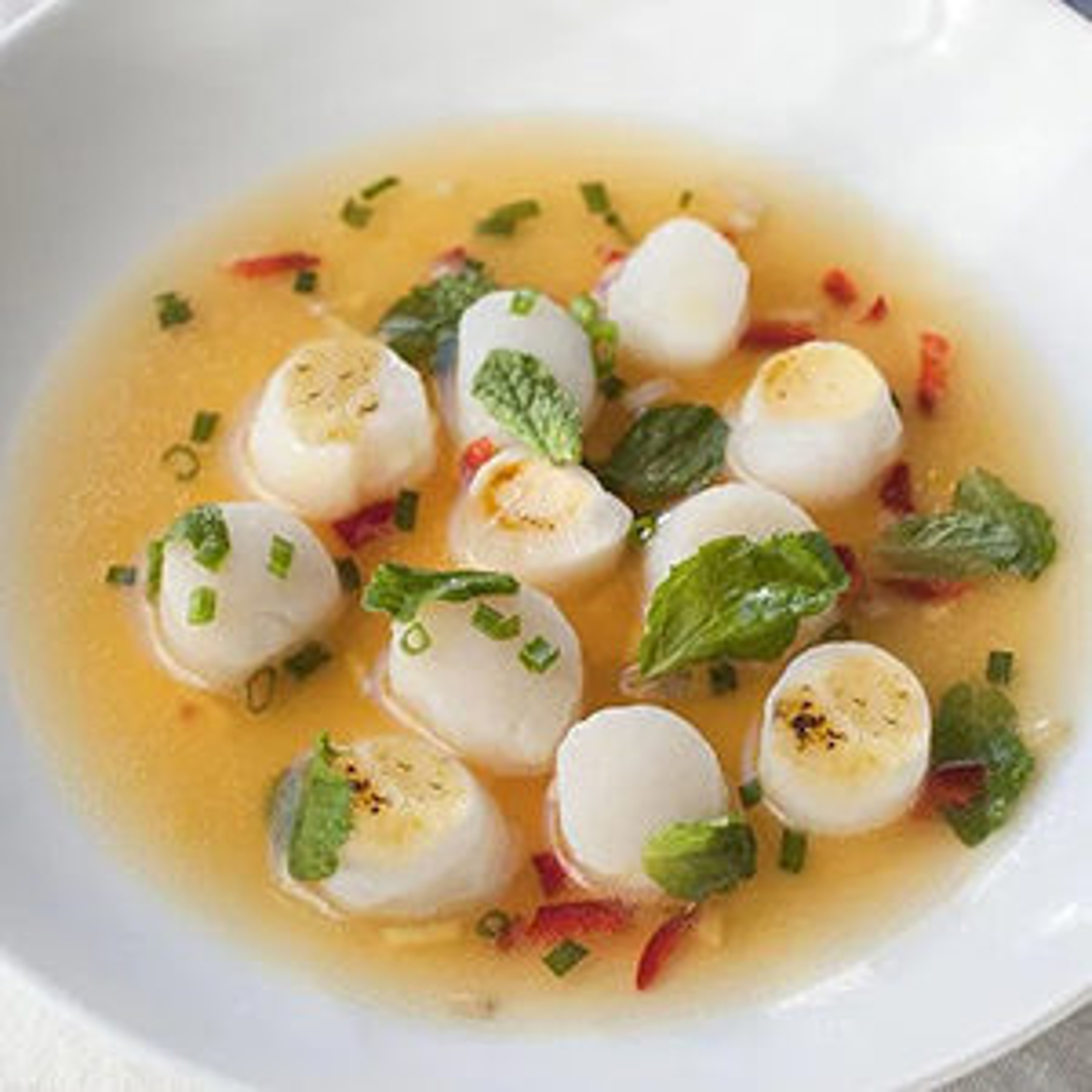 july recipes ceviche