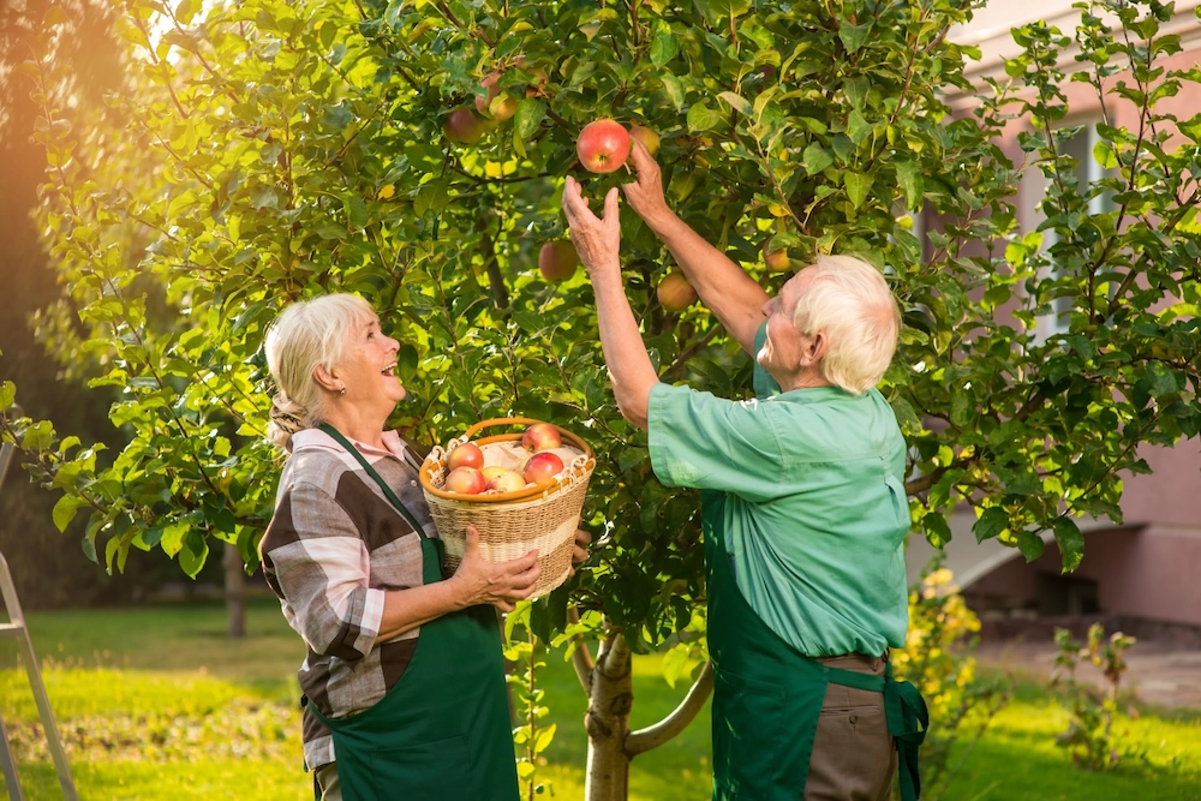 fall rituals apple picking pic