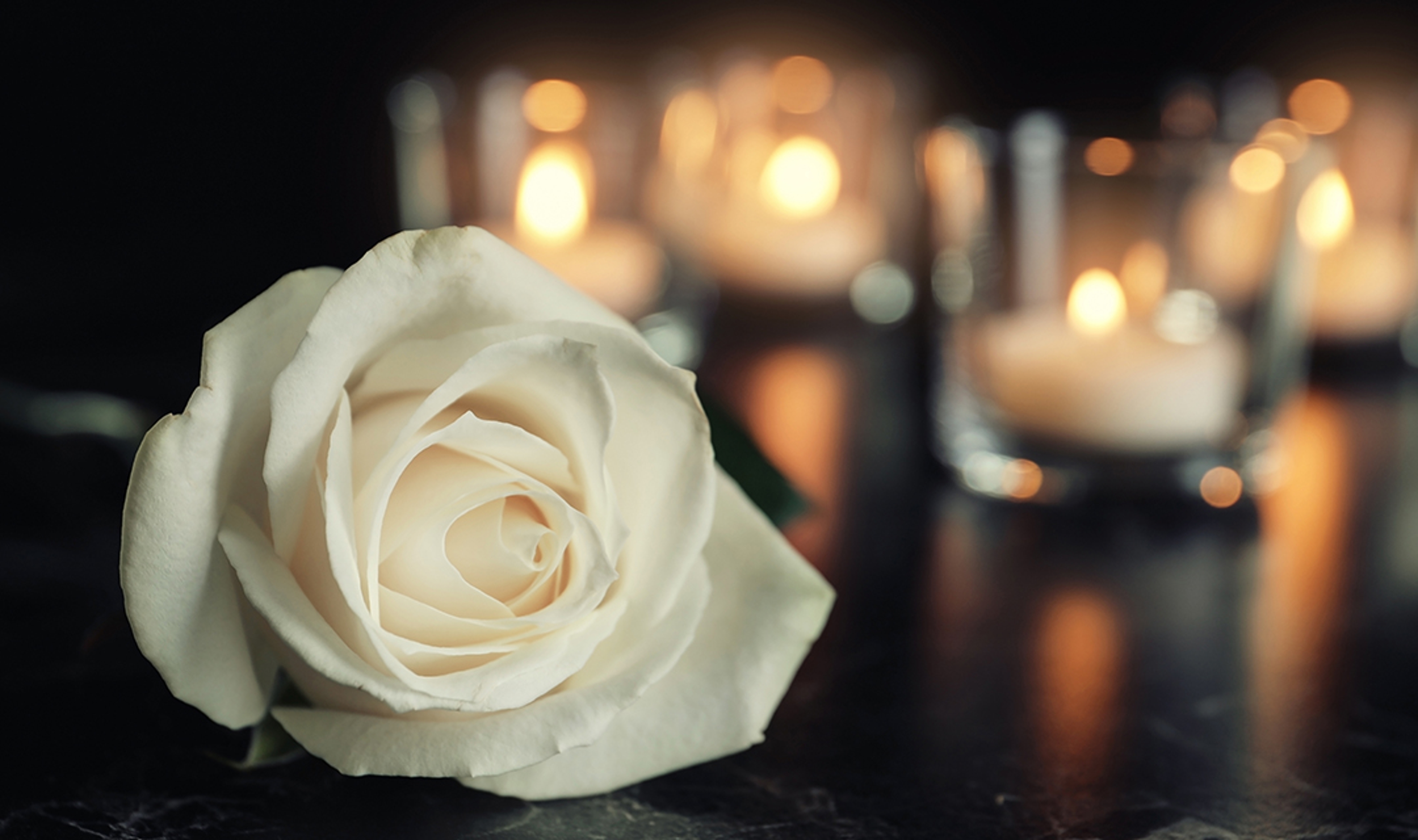 Article Cards Featured Image White rose and blurred burning candles on table in darkness, space for text. Funeral symbol