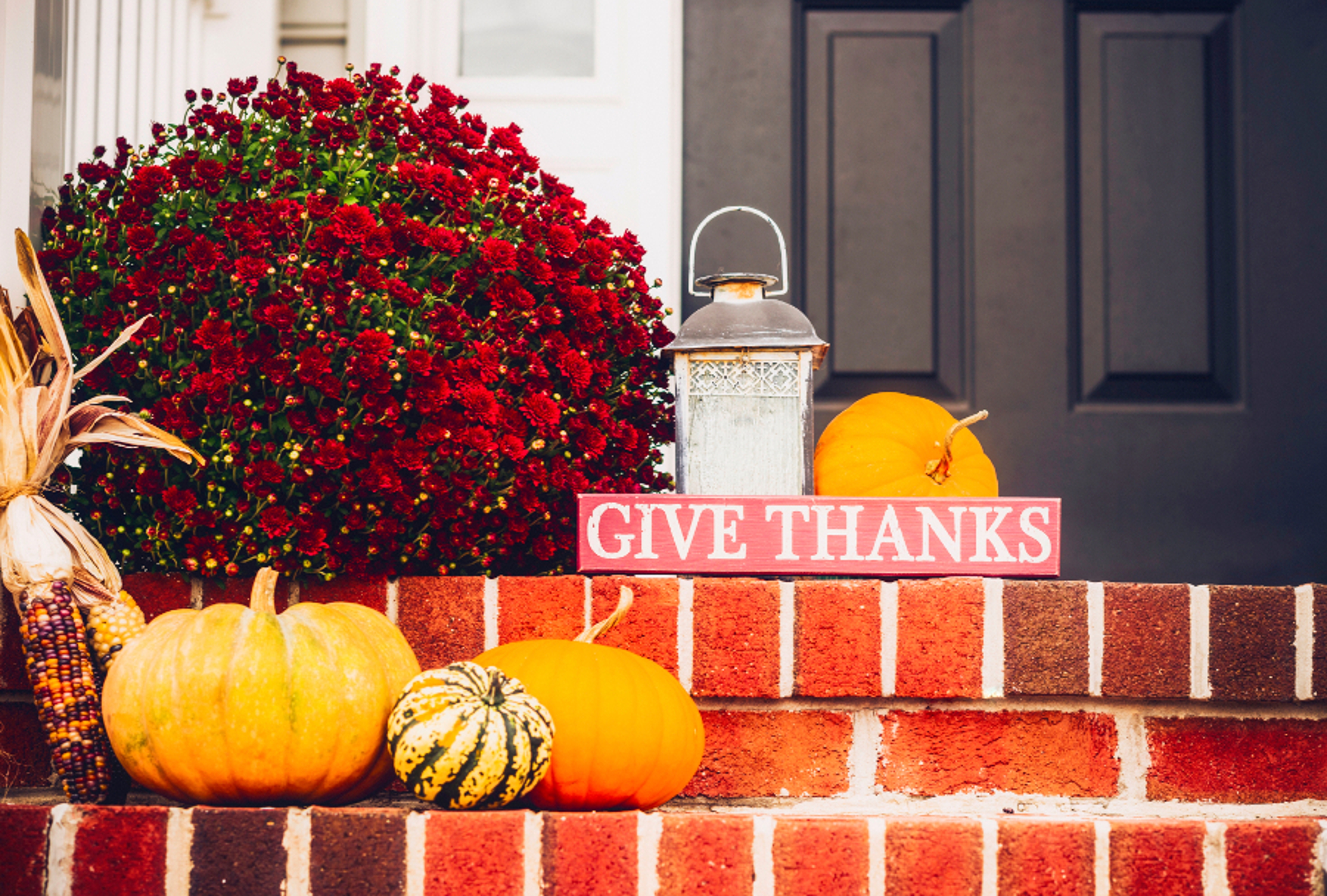 Article Cards Featured Image thanksgiving decor