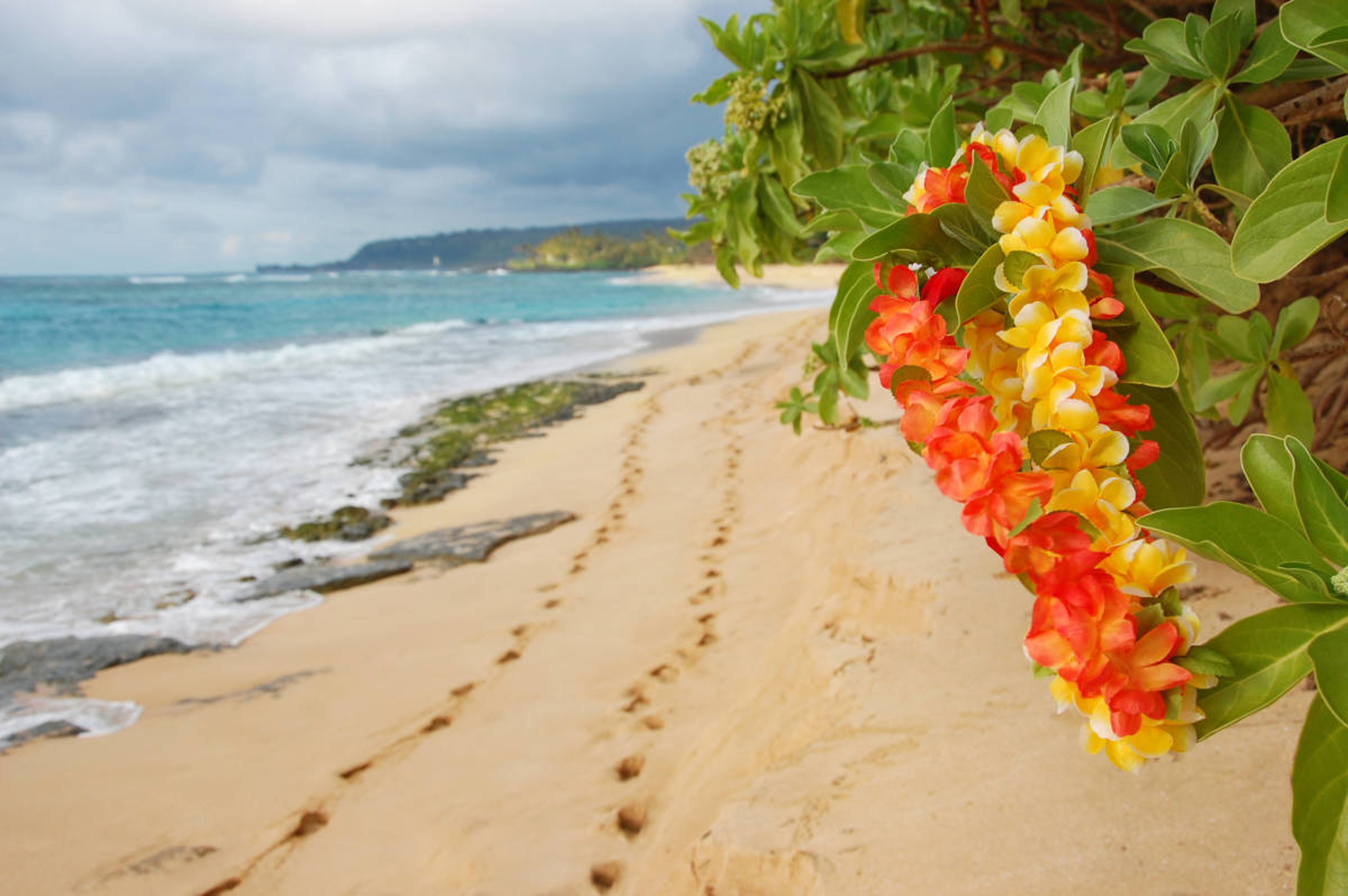 Article Cards Featured Image Colorful leis flow in the wind on a secluded Oahu Beach  in late afternoon sun, with two sets of footprints in the sand.