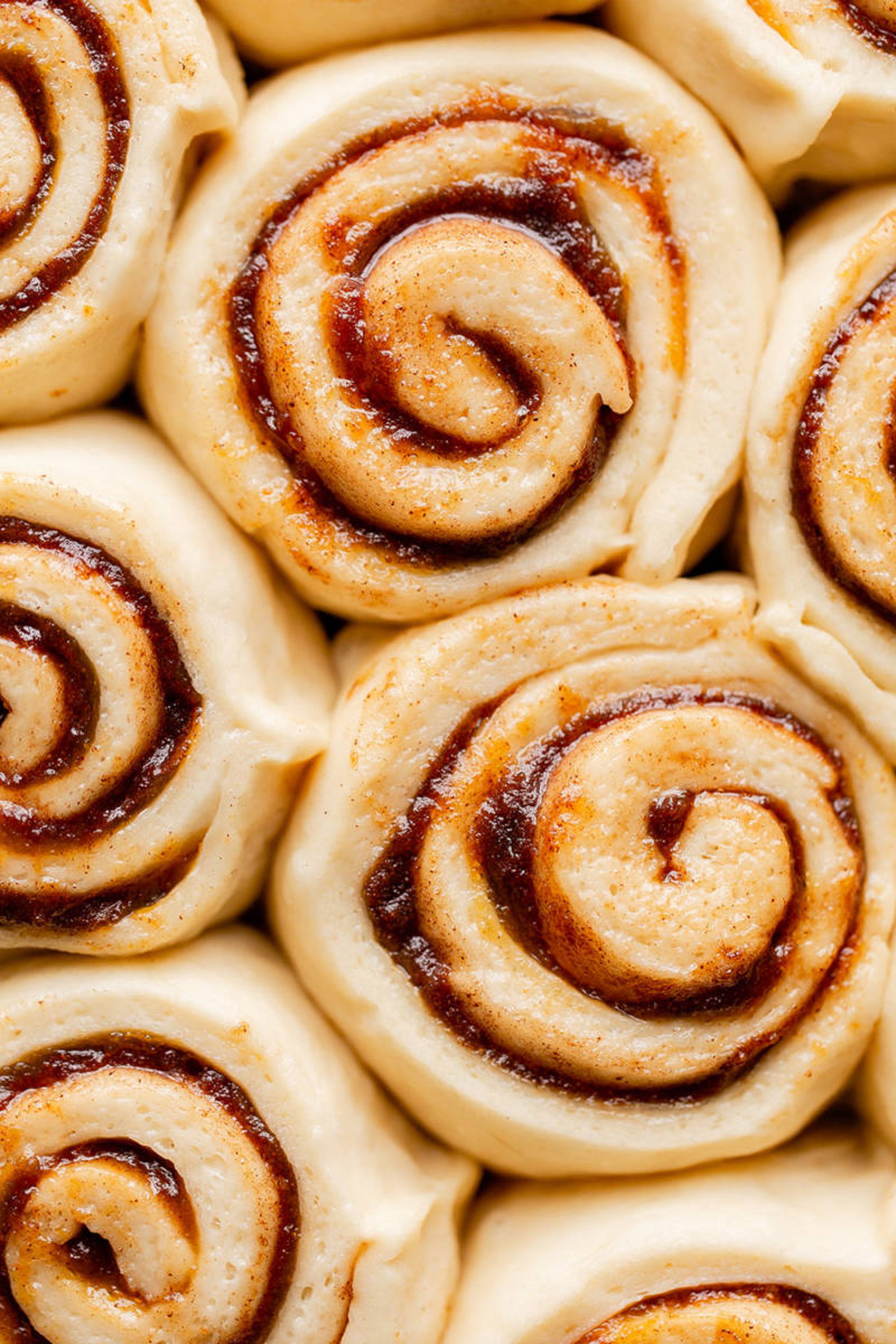 Closeup of unbaked cinnamon rolls.