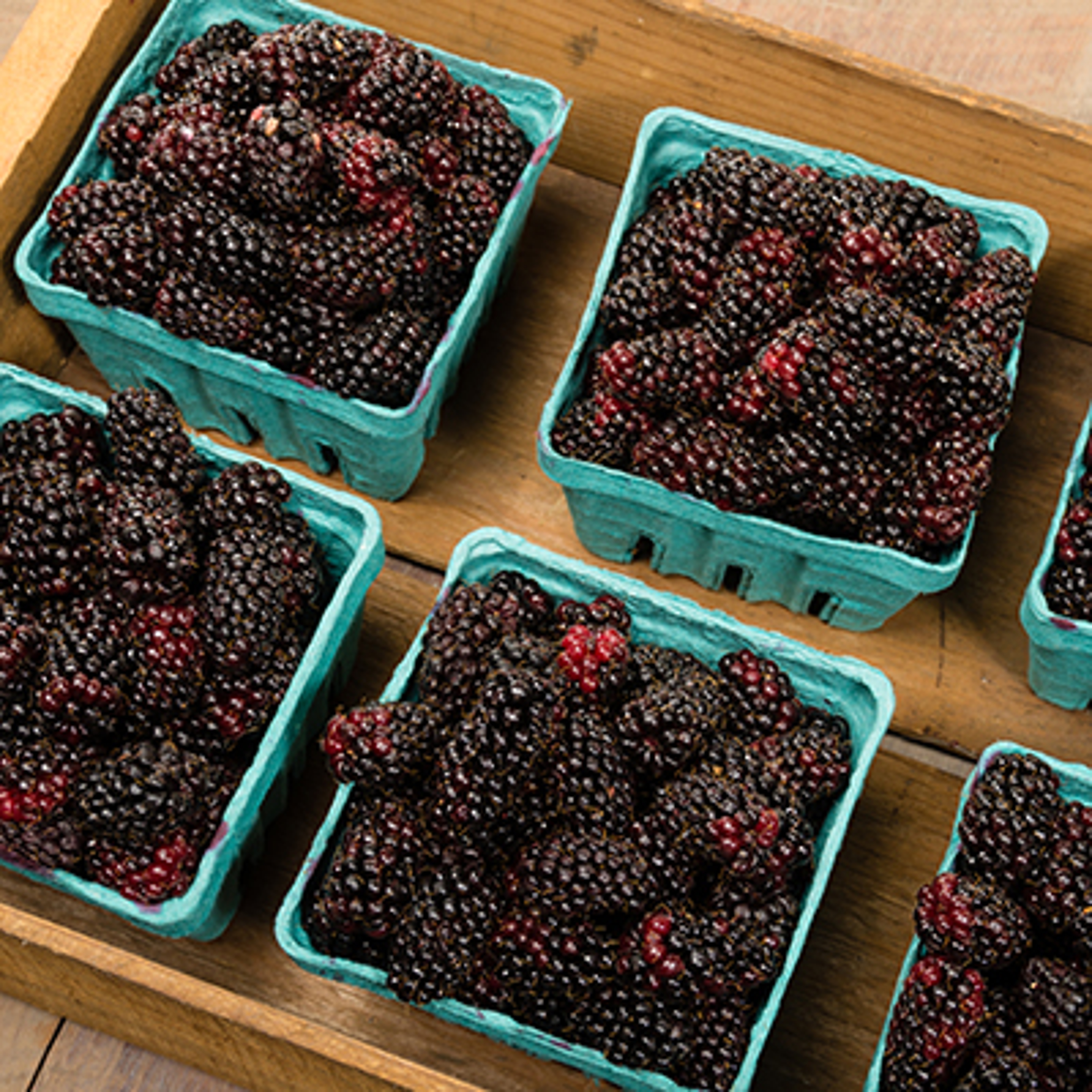 fruit for the new year marionberries