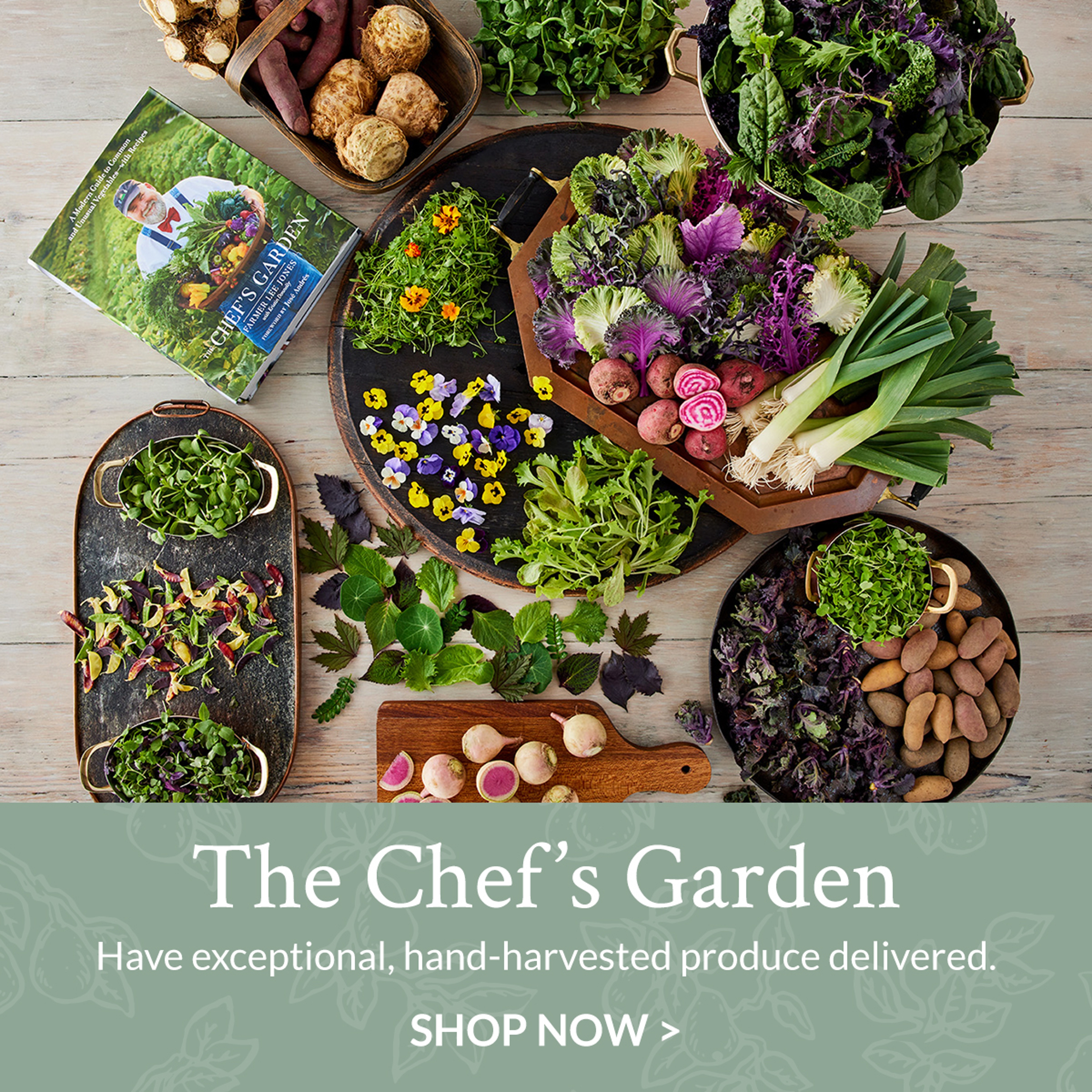 The Chefs Garden   Vegetables Collection Banner ad