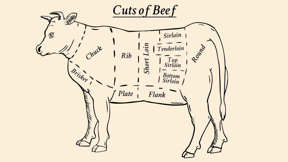 Cow diagram skirt steak hotsell