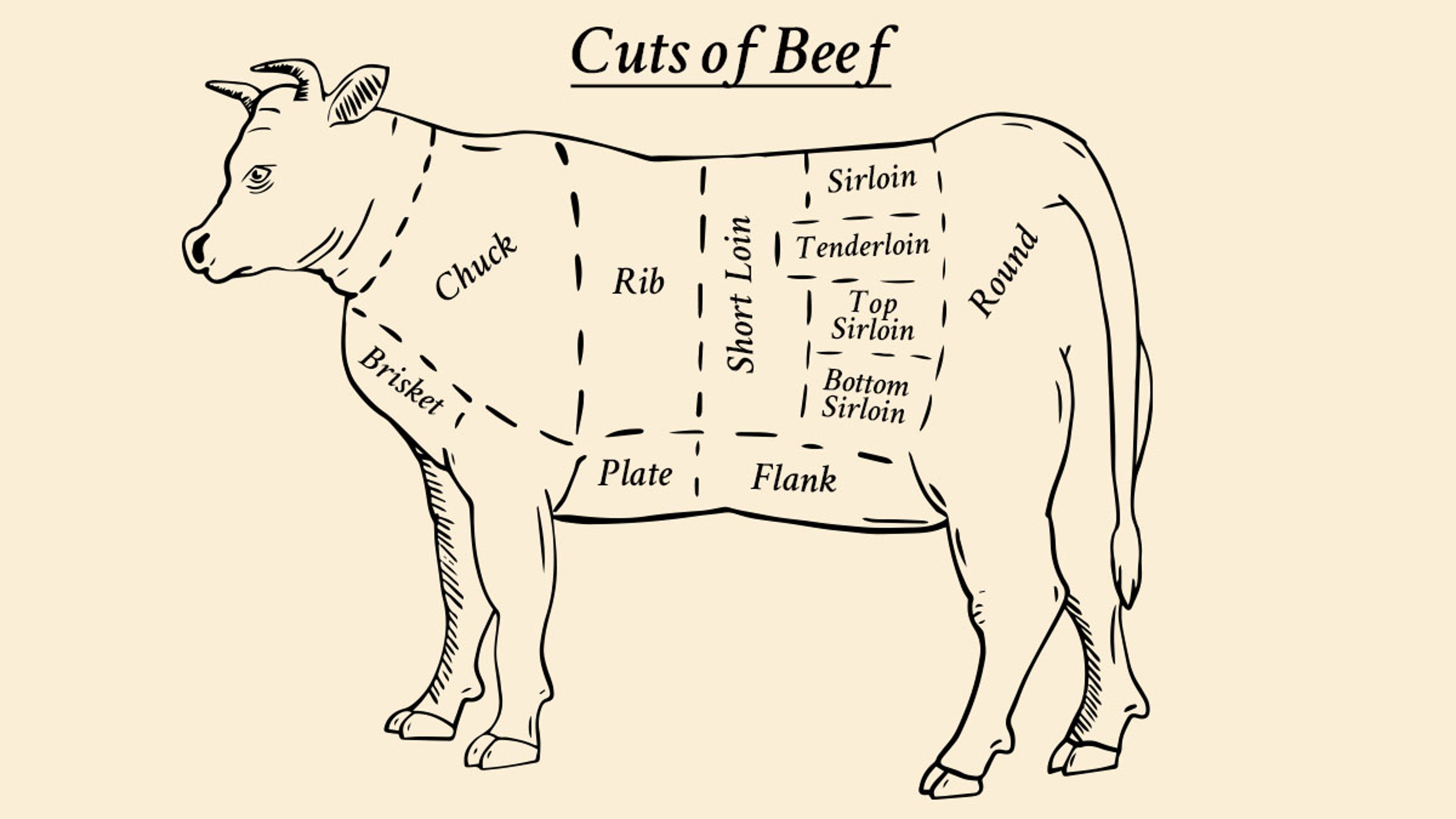 Article Cards Featured Image A graphic illustrating different cuts of beef