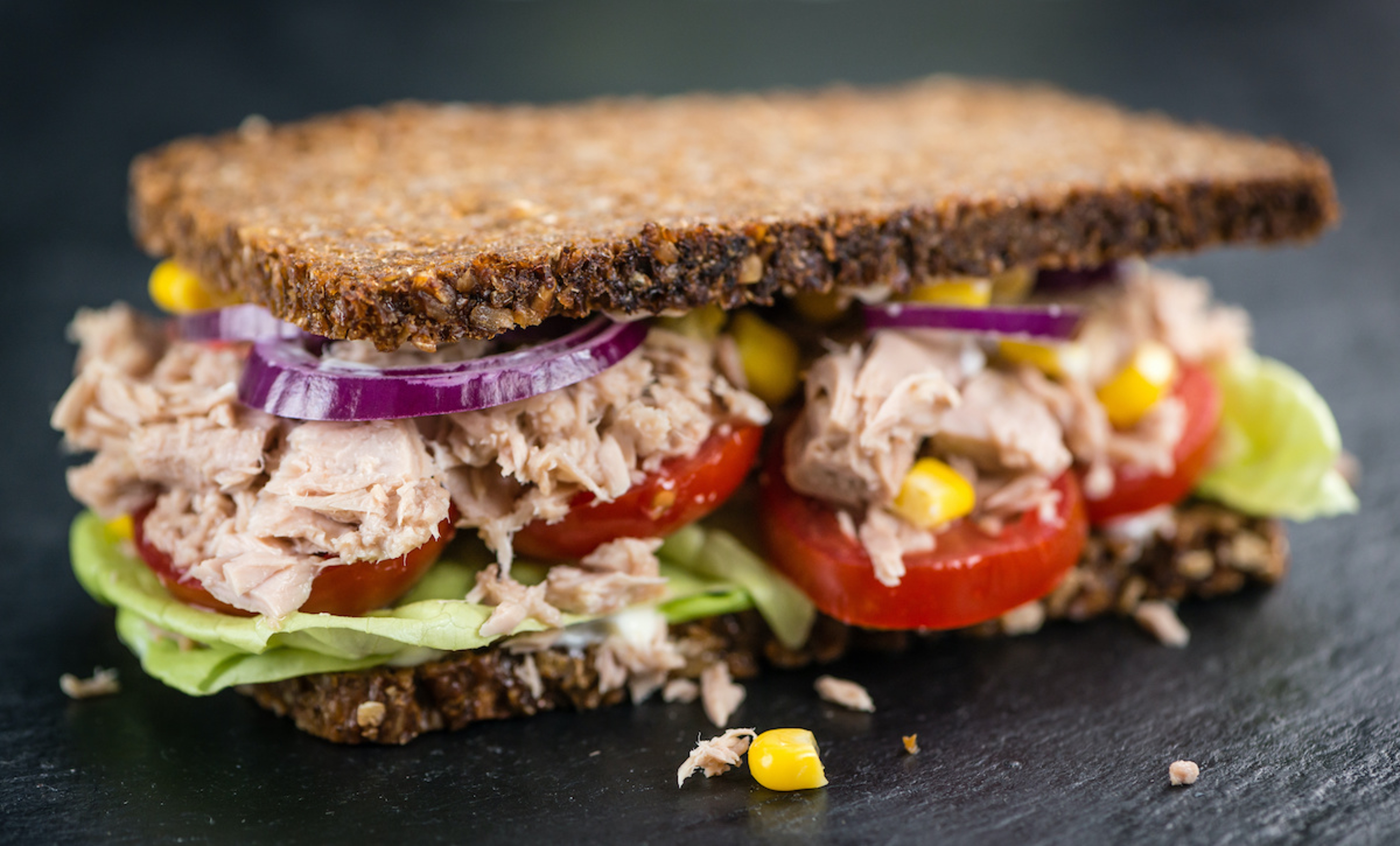 history of tuna fish sandwich hero