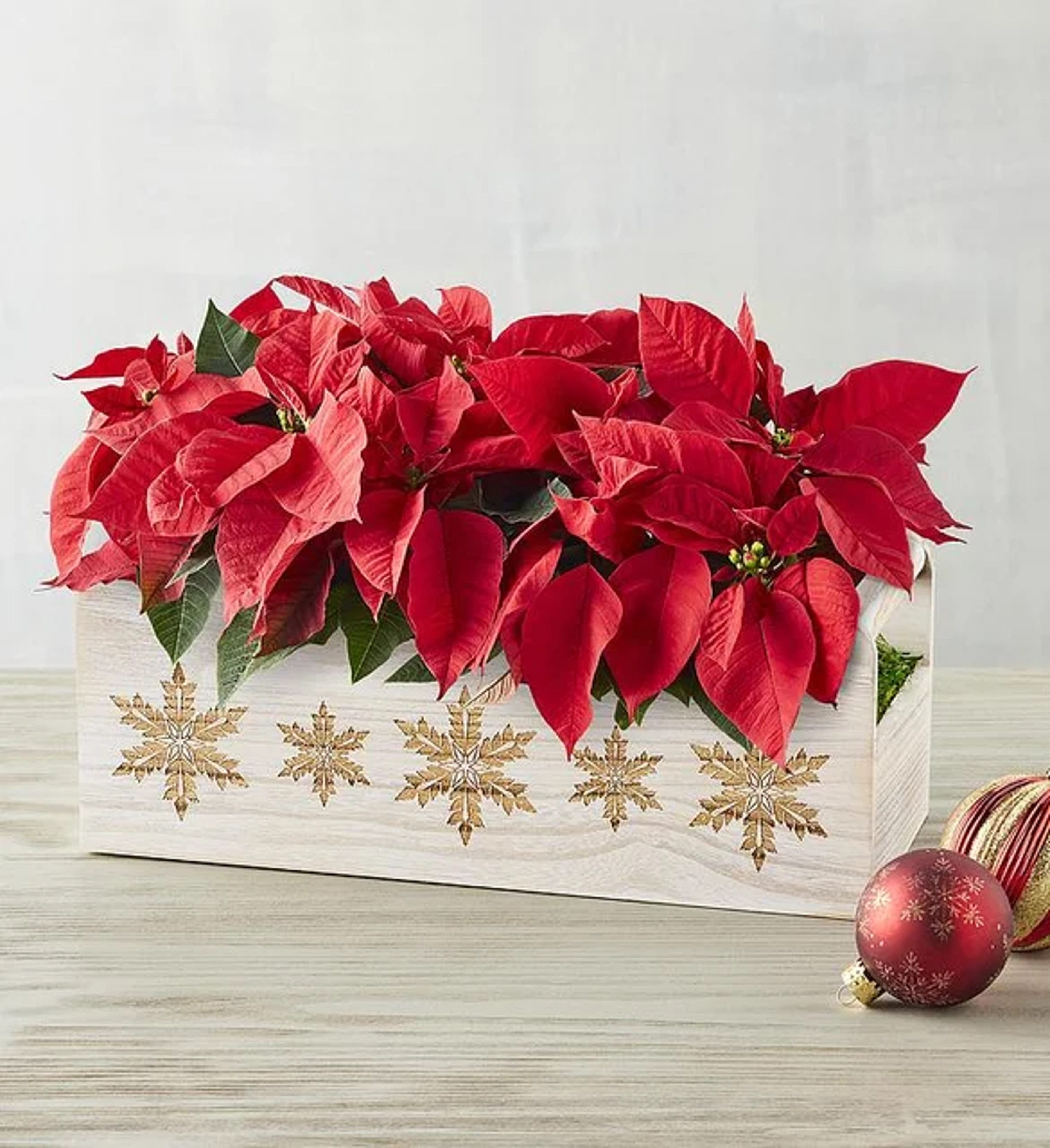 christmas decorations holiday mini poinsettia