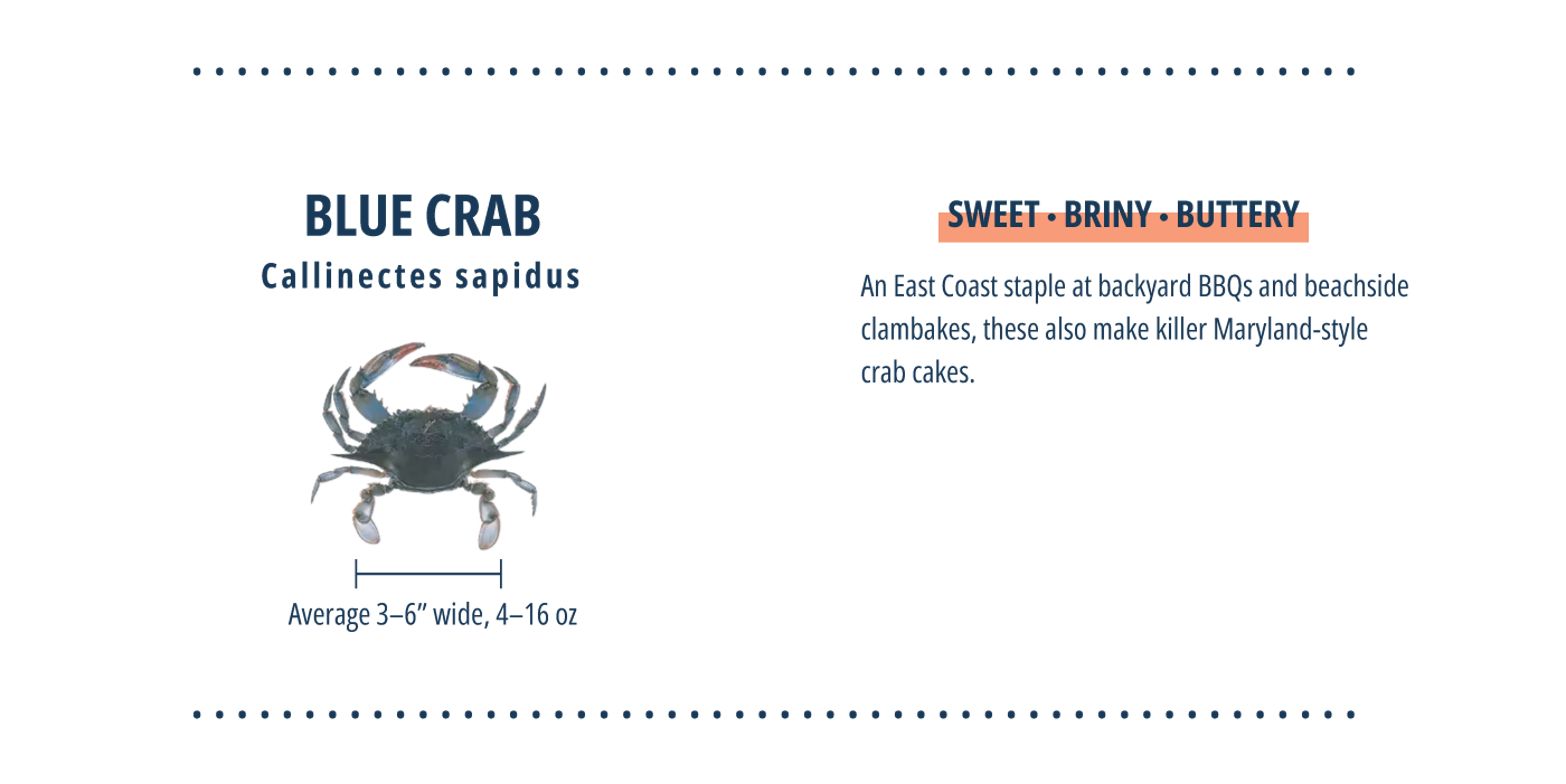 Infographic on Blue Crabs
