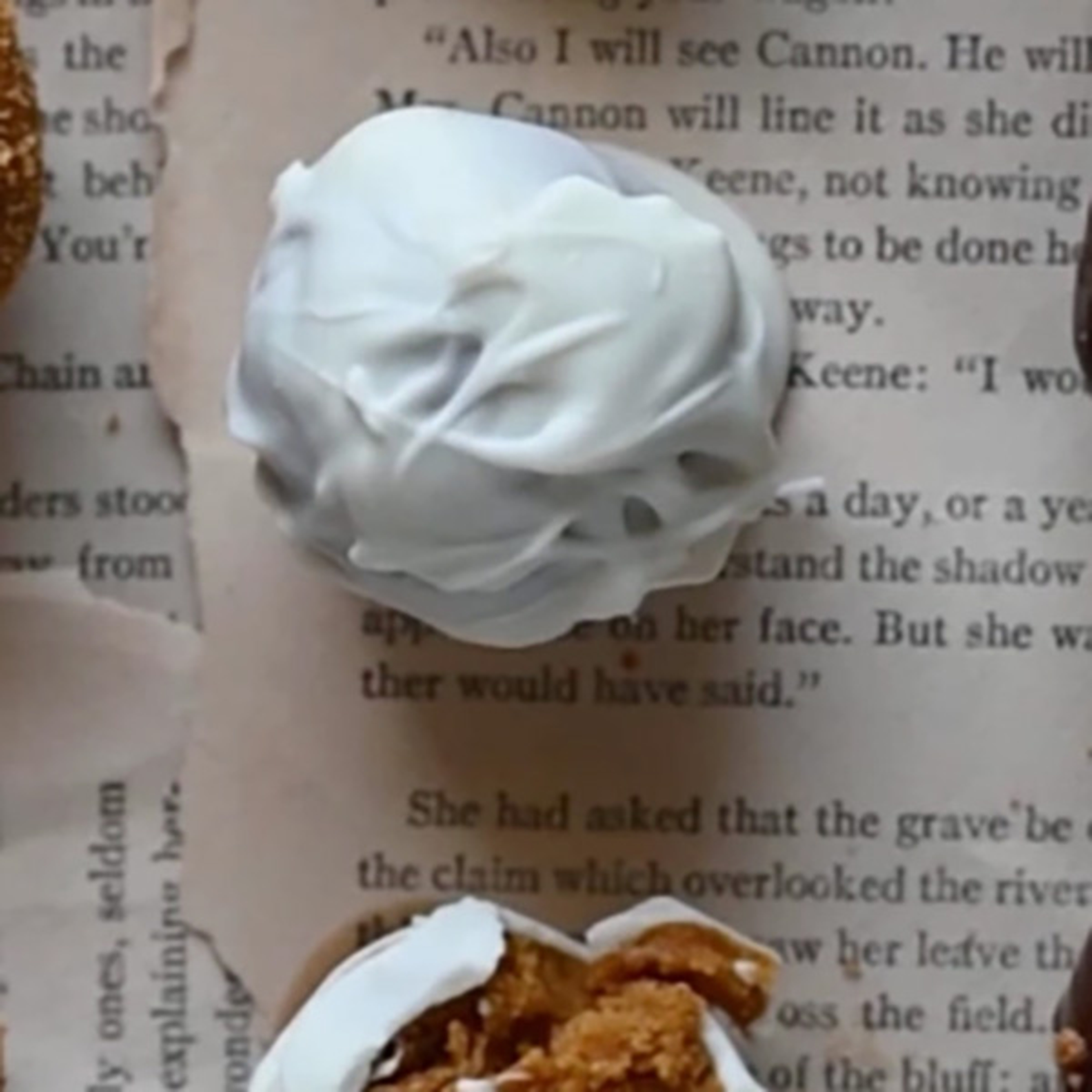 pumpkin recipes truffles