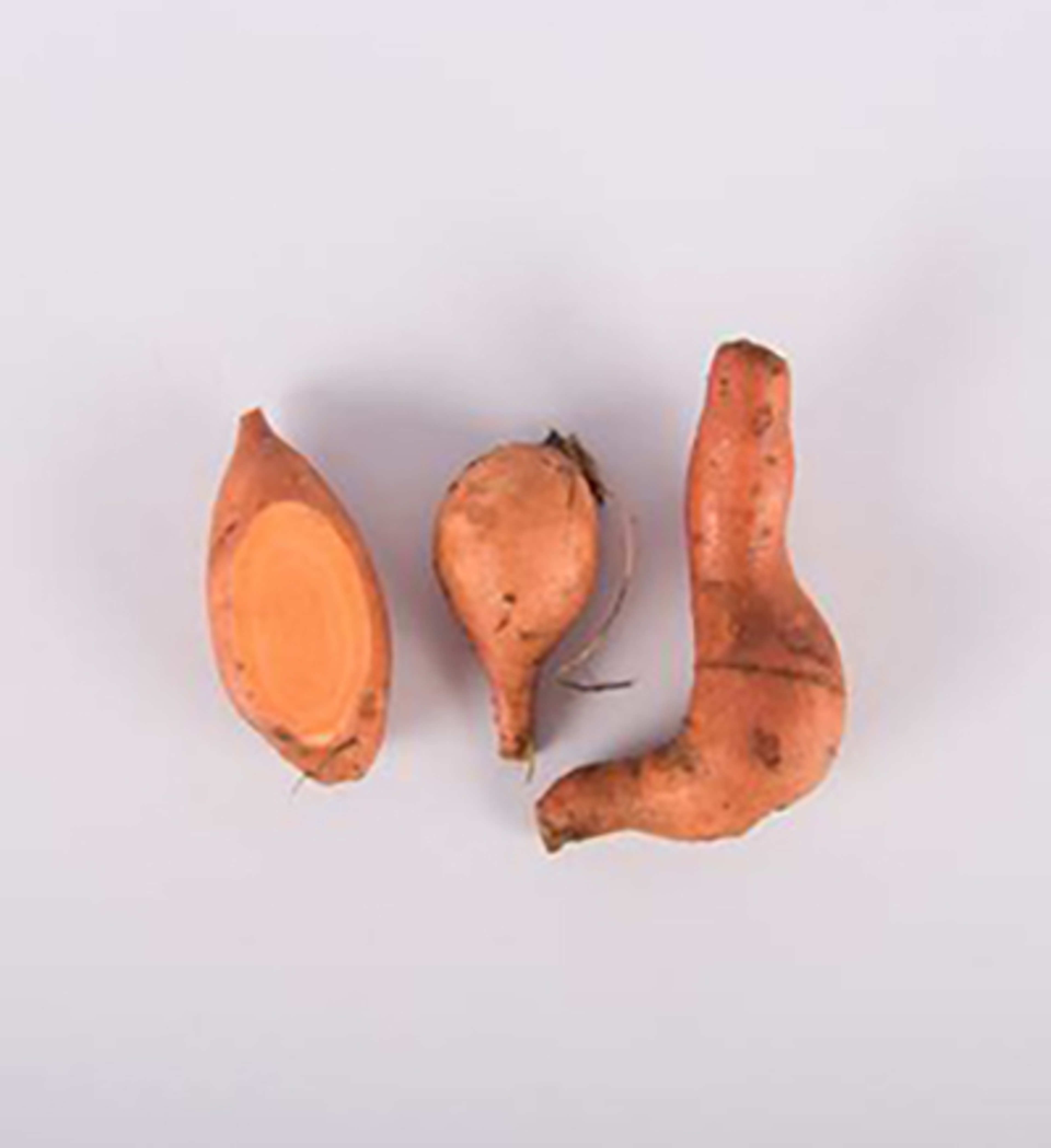 Copper penny sweet potatoes on a white background.