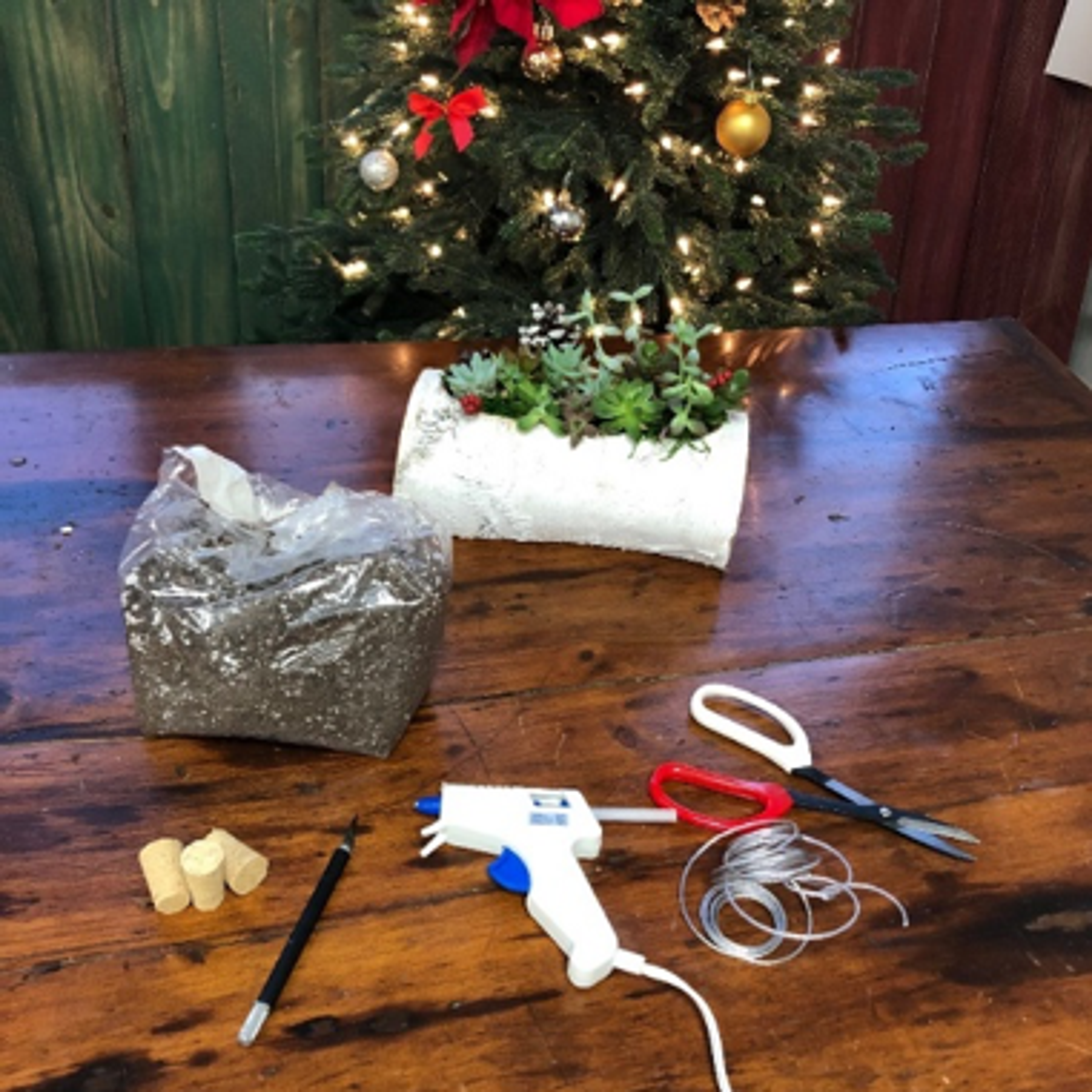 Items needed for creating a wink cork succulent ornament for a christmas tree