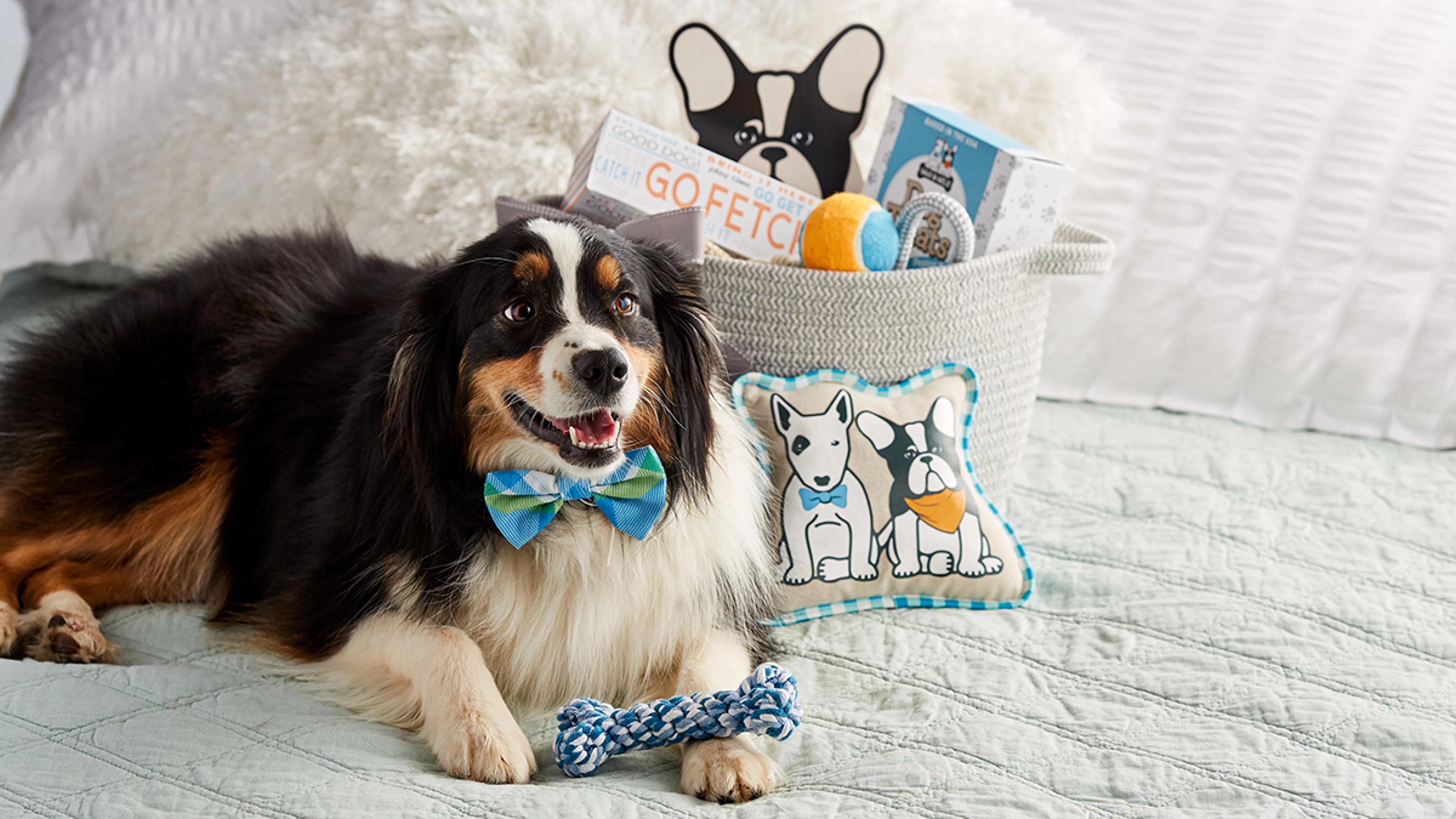 Article Cards Featured Image Max & Milo Pet Gift Guide