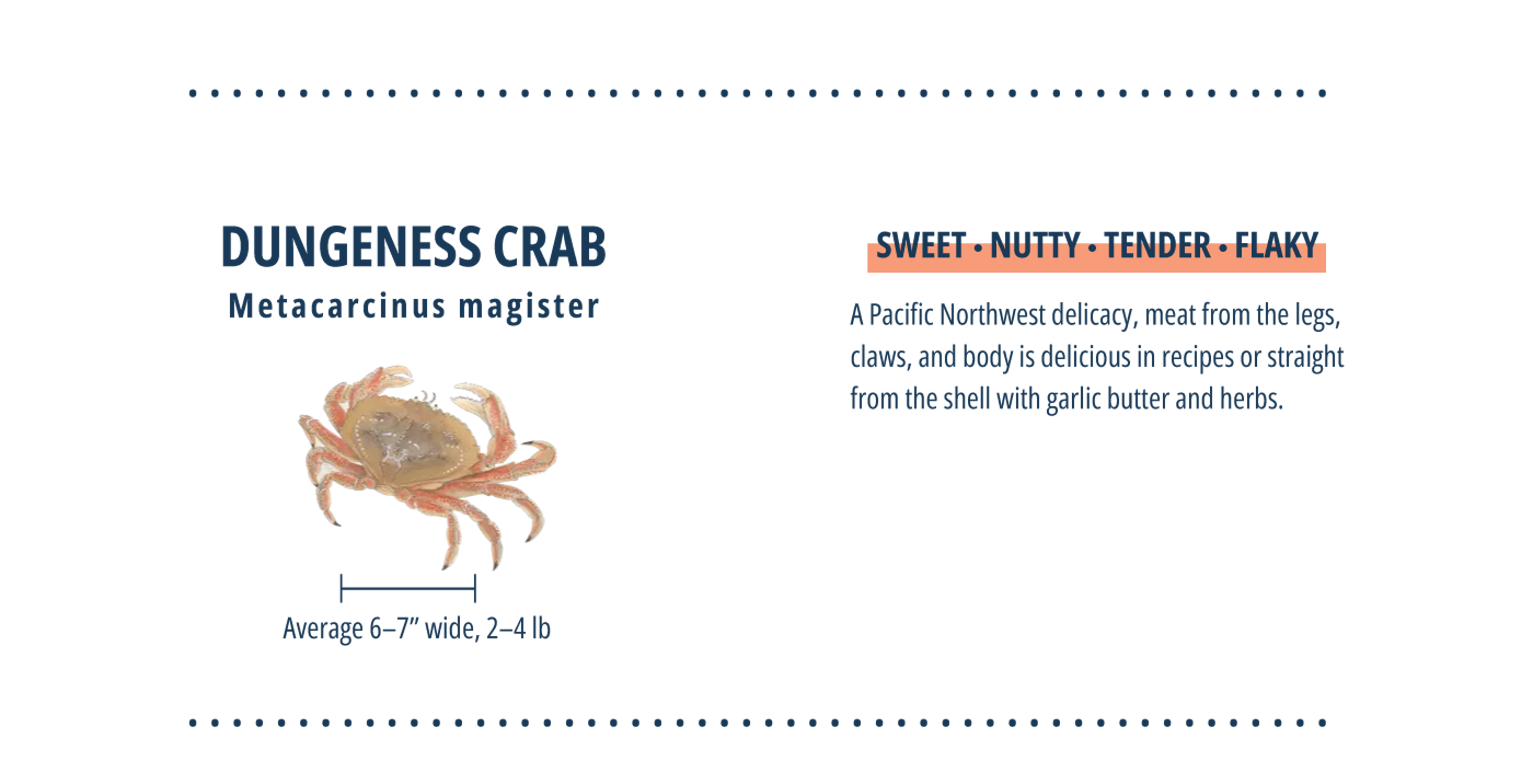 Infographic on Dungeness Crabs