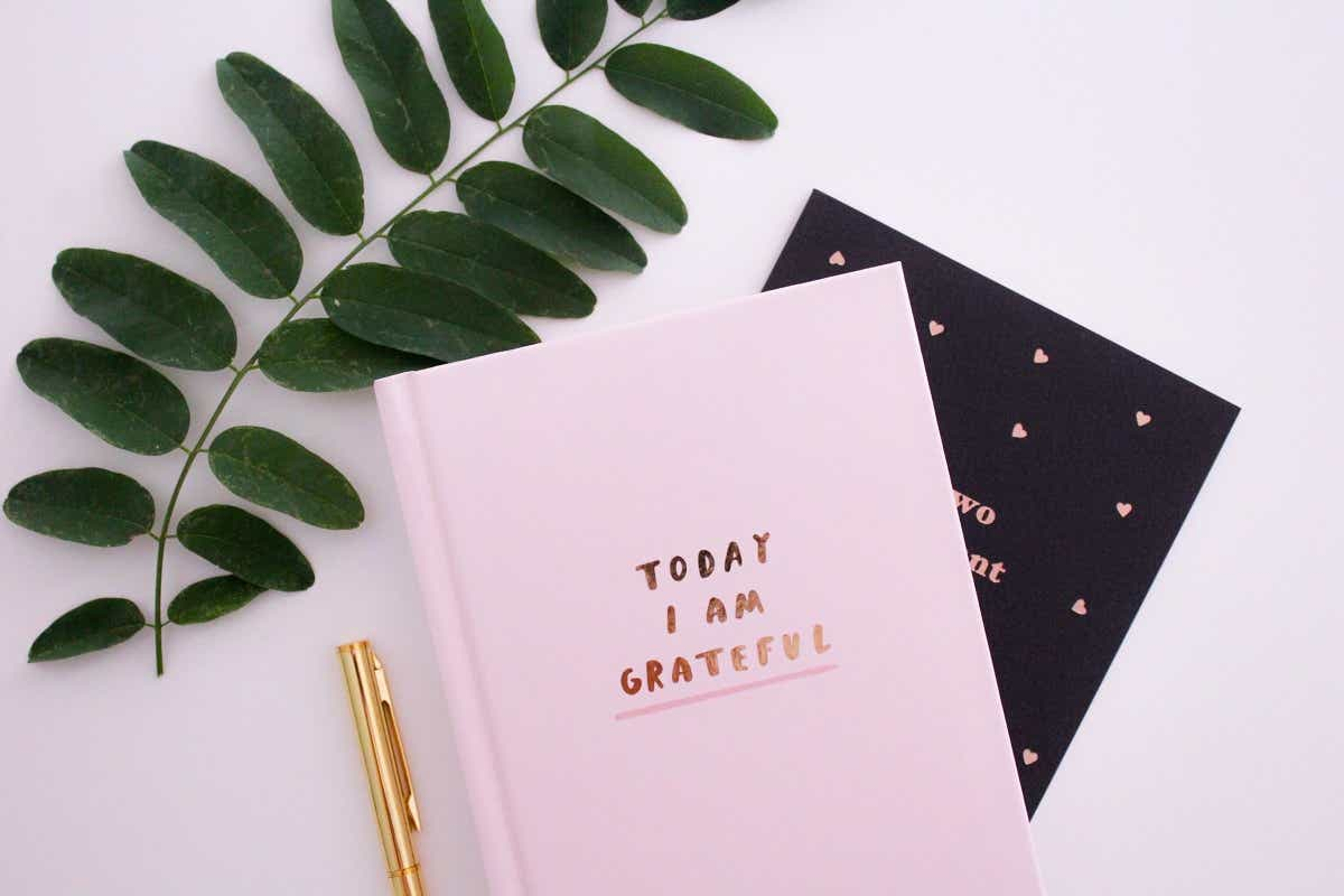 new year's resolutions with Journal
