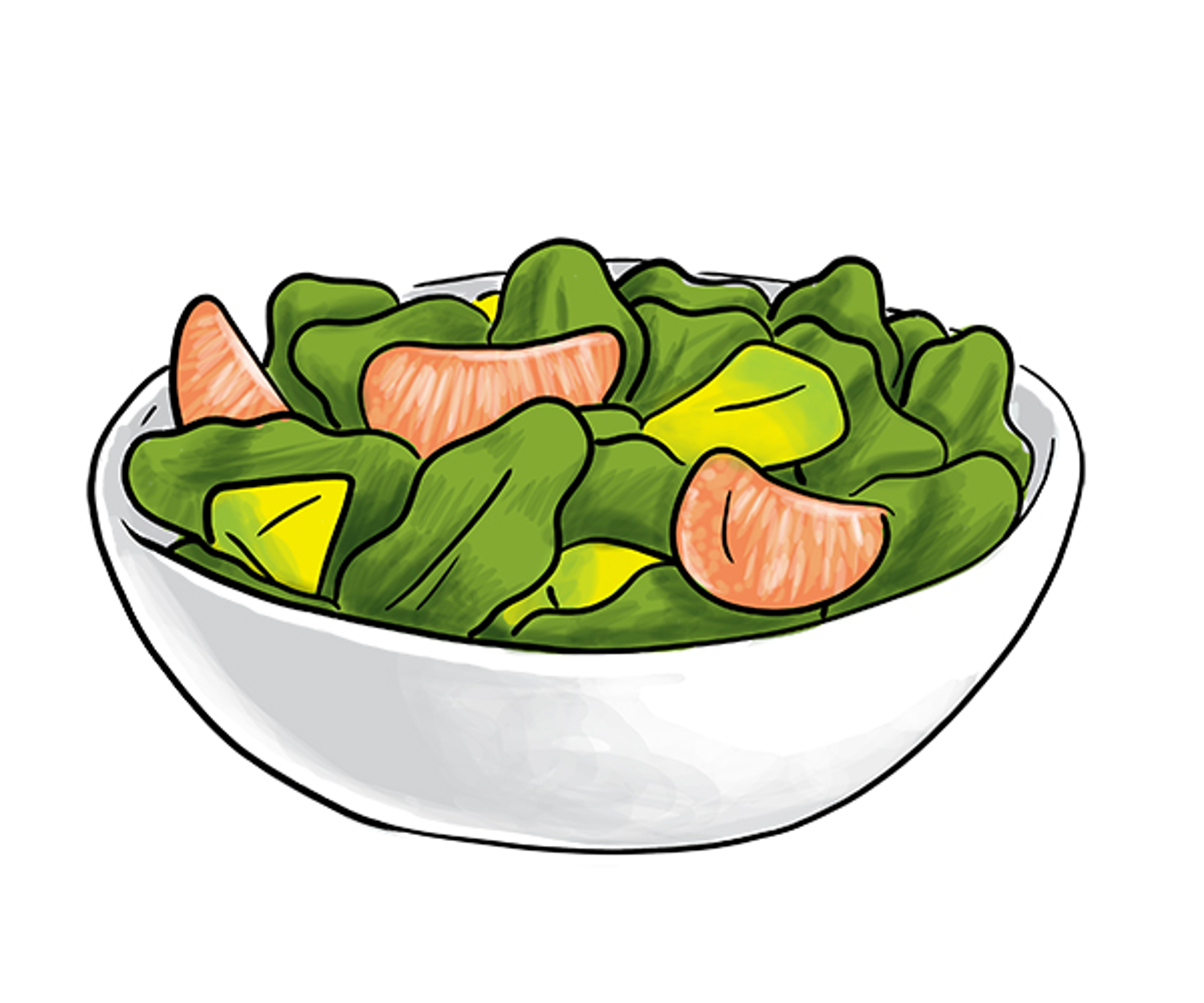 Drawing of a spinach salad with avocado and grapefruit slices.