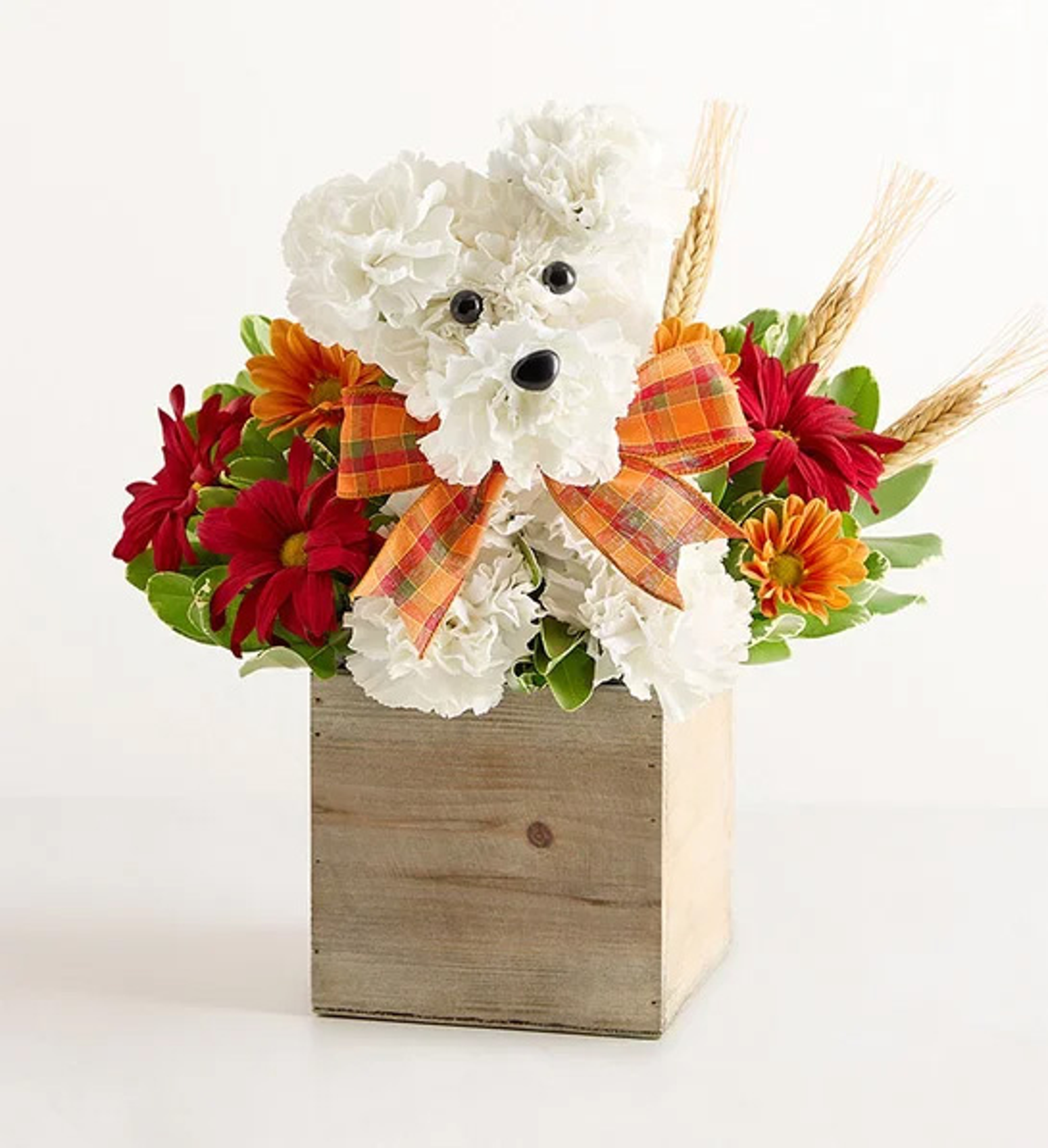 thanksgiving dinner family flower dog